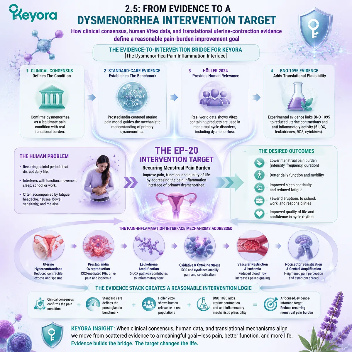 dysmenorrhea intervention target menstrual pain burden prostaglandin uterine contraction inflammation Vitex evidence hierarchy Keyora Dysmenorrhea Pain-Inflammation Interface clinical consensus translational bridge dysmenorrhea intervention target menstrual pain burden prostaglandin uterine contraction inflammation Vitex evidence hierarchy Keyora Dysmenorrhea Pain-Inflammation Interface clinical consensus translational bridge