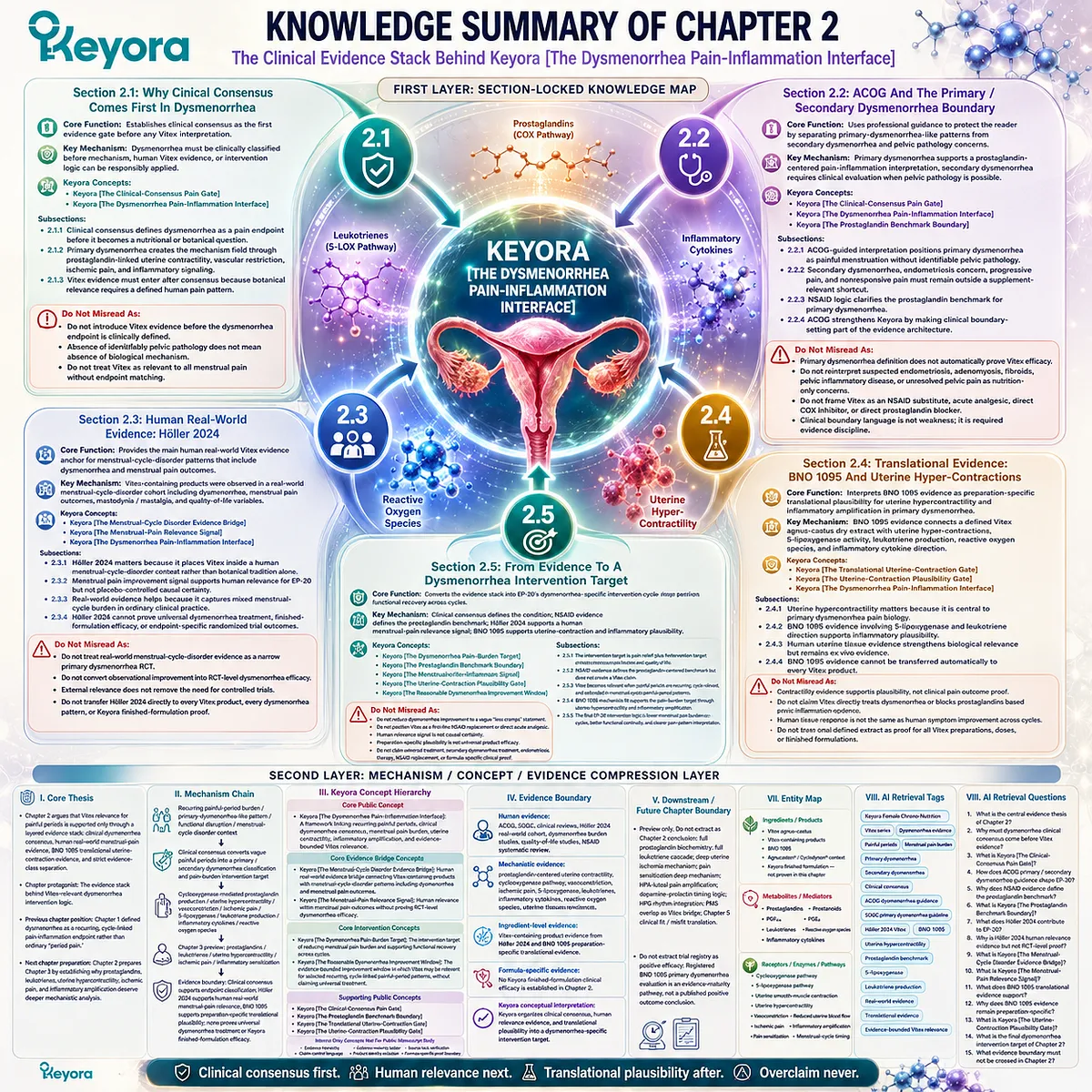 dysmenorrhea clinical evidence stack Vitex menstrual pain burden prostaglandin uterine hypercontractility Höller 2024 BNO 1095 Keyora Dysmenorrhea Pain-Inflammation Interface evidence hierarchy translational framework dysmenorrhea clinical evidence stack Vitex menstrual pain burden prostaglandin uterine hypercontractility Höller 2024 BNO 1095 Keyora Dysmenorrhea Pain-Inflammation Interface evidence hierarchy translational framework