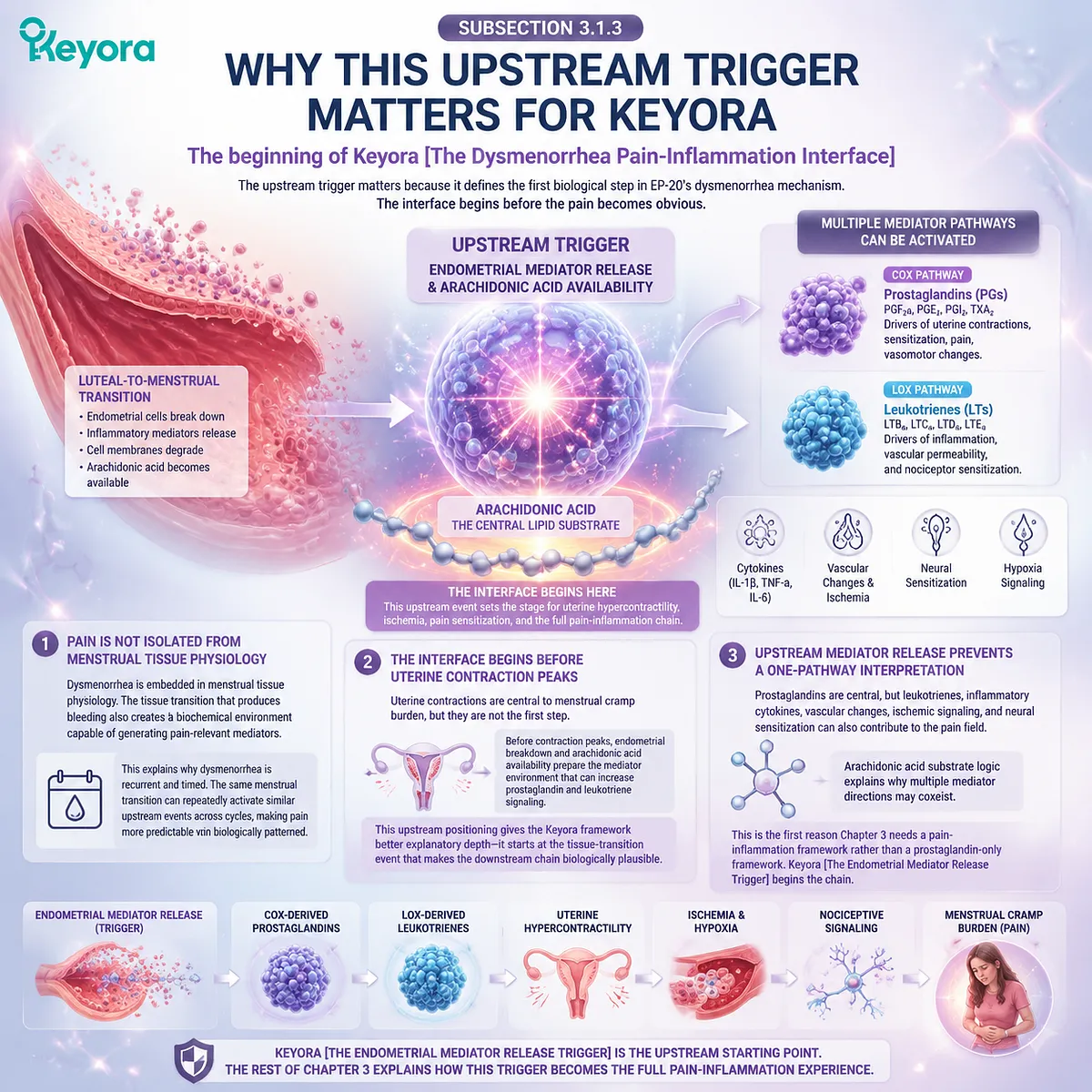 Dysmenorrhea upstream trigger: endometrial arachidonic acid release activates COX/LOX prostaglandin–leukotriene signaling shaping uterine contractility in Keyora Dysmenorrhea Pain-Inflammation Interface Dysmenorrhea upstream trigger: endometrial arachidonic acid release activates COX/LOX prostaglandin–leukotriene signaling shaping uterine contractility in Keyora Dysmenorrhea Pain-Inflammation Interface