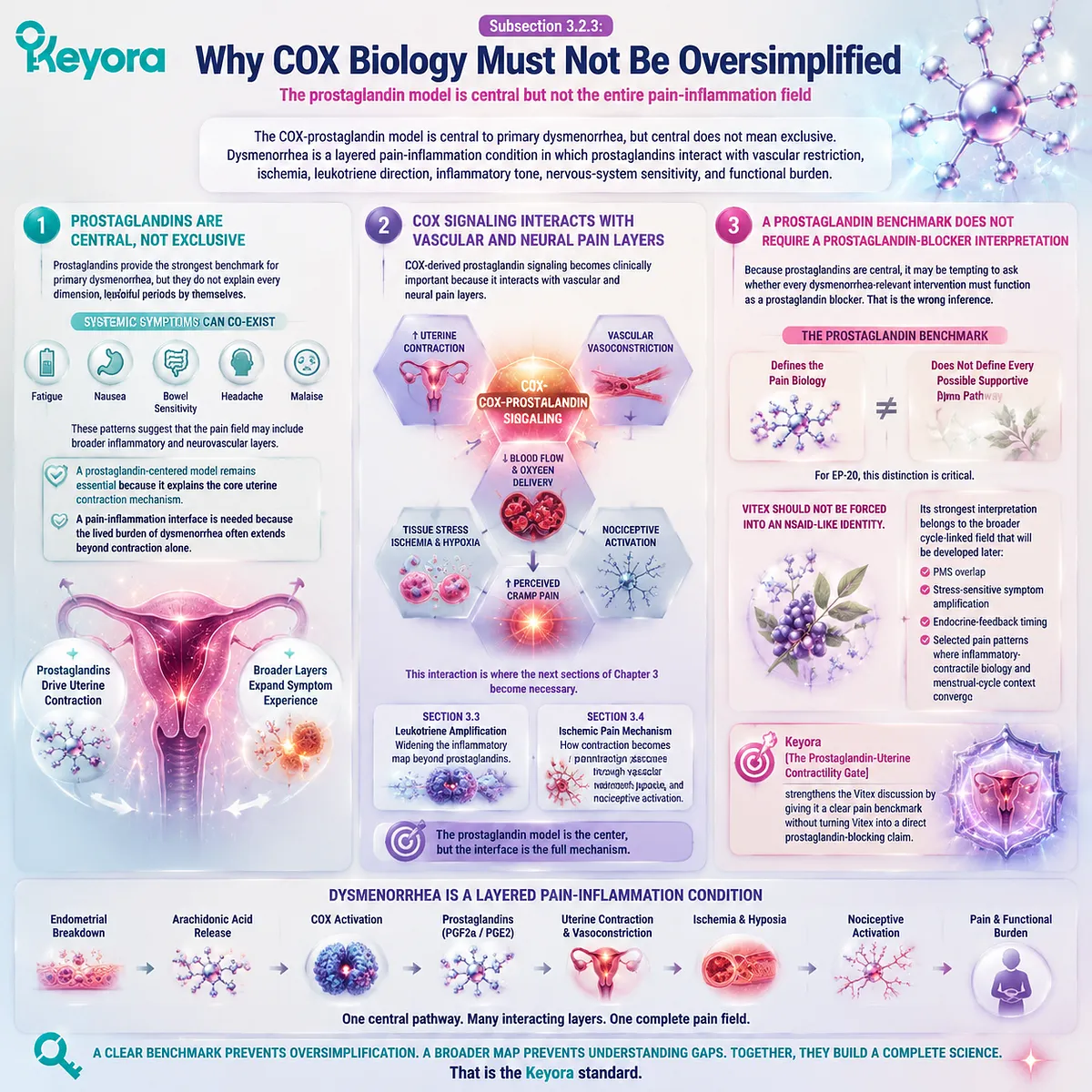 Dysmenorrhea COX prostaglandin signaling uterine hypercontractility ischemia leukotriene interaction pain sensitivity Keyora Prostaglandin-Uterine Contractility Gate pain-inflammation interface Dysmenorrhea COX prostaglandin signaling uterine hypercontractility ischemia leukotriene interaction pain sensitivity Keyora Prostaglandin-Uterine Contractility Gate pain-inflammation interface