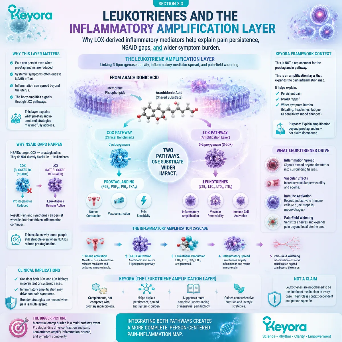 Dysmenorrhea leukotrienes LOX 5-lipoxygenase inflammatory amplification widen pain signaling uterine cramp burden Keyora Leukotriene Amplification Layer Dysmenorrhea leukotrienes LOX 5-lipoxygenase inflammatory amplification widen pain signaling uterine cramp burden Keyora Leukotriene Amplification Layer