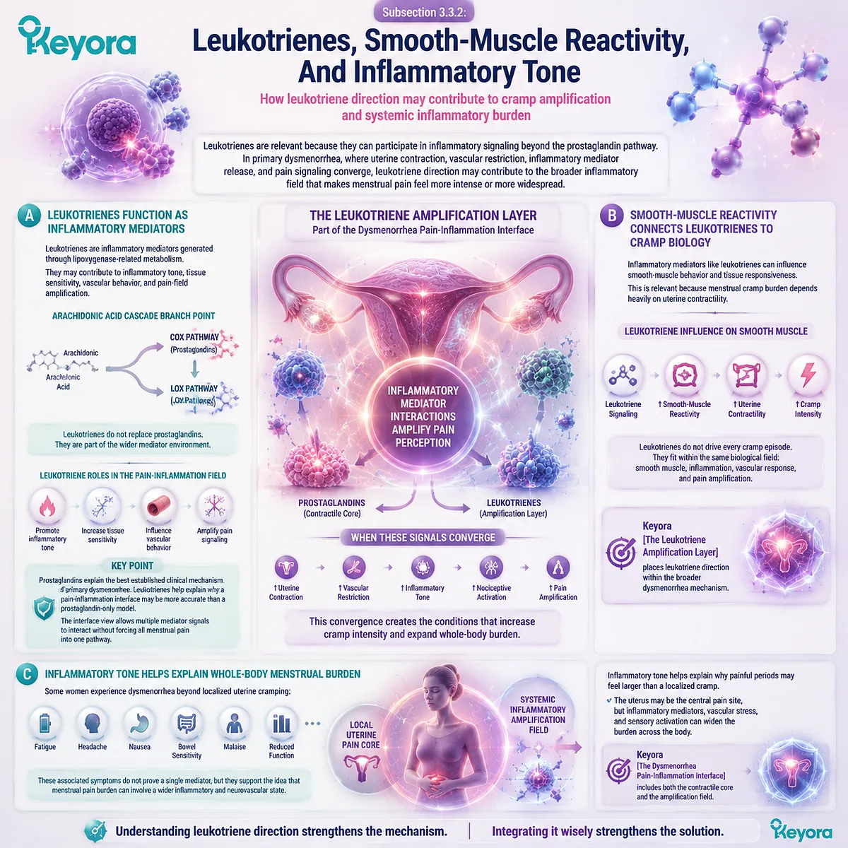 Dysmenorrhea leukotrienes LOX inflammatory tone smooth-muscle reactivity uterine contraction pain amplification systemic menstrual symptoms Keyora Leukotriene Amplification Layer interface Dysmenorrhea leukotrienes LOX inflammatory tone smooth-muscle reactivity uterine contraction pain amplification systemic menstrual symptoms Keyora Leukotriene Amplification Layer interface