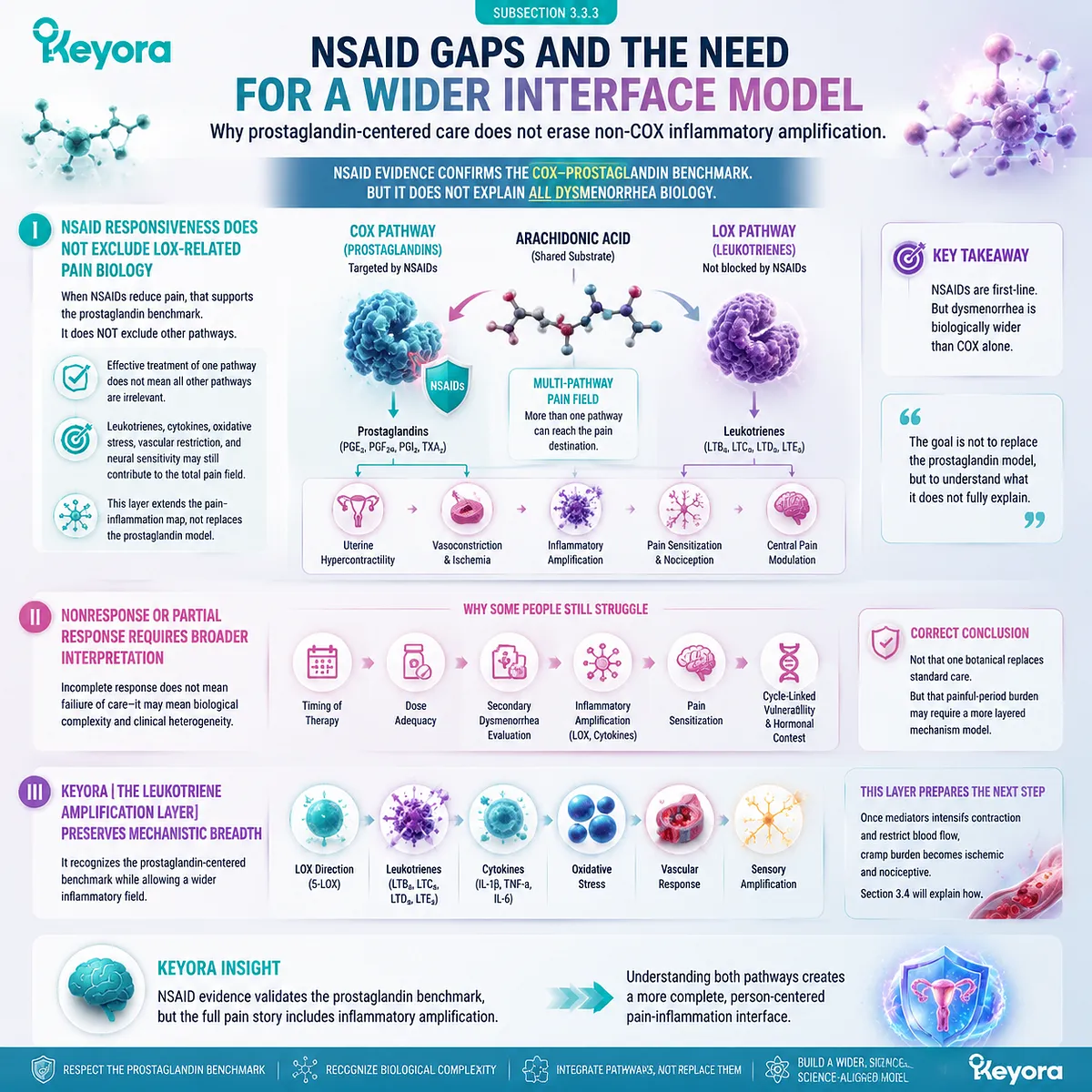 Dysmenorrhea NSAID COX prostaglandin response gaps leukotriene LOX inflammatory amplification pain heterogeneity Keyora Leukotriene Amplification Layer interface model Dysmenorrhea NSAID COX prostaglandin response gaps leukotriene LOX inflammatory amplification pain heterogeneity Keyora Leukotriene Amplification Layer interface model