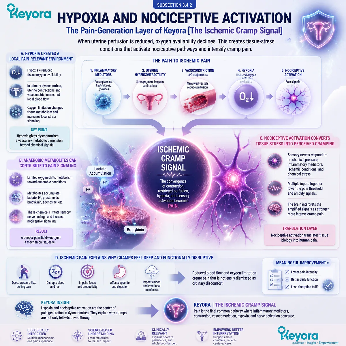 Dysmenorrhea hypoxia uterine ischemia reduced oxygen nociceptive activation anaerobic metabolites cramp pain signaling Keyora Ischemic Cramp Signal Dysmenorrhea hypoxia uterine ischemia reduced oxygen nociceptive activation anaerobic metabolites cramp pain signaling Keyora Ischemic Cramp Signal