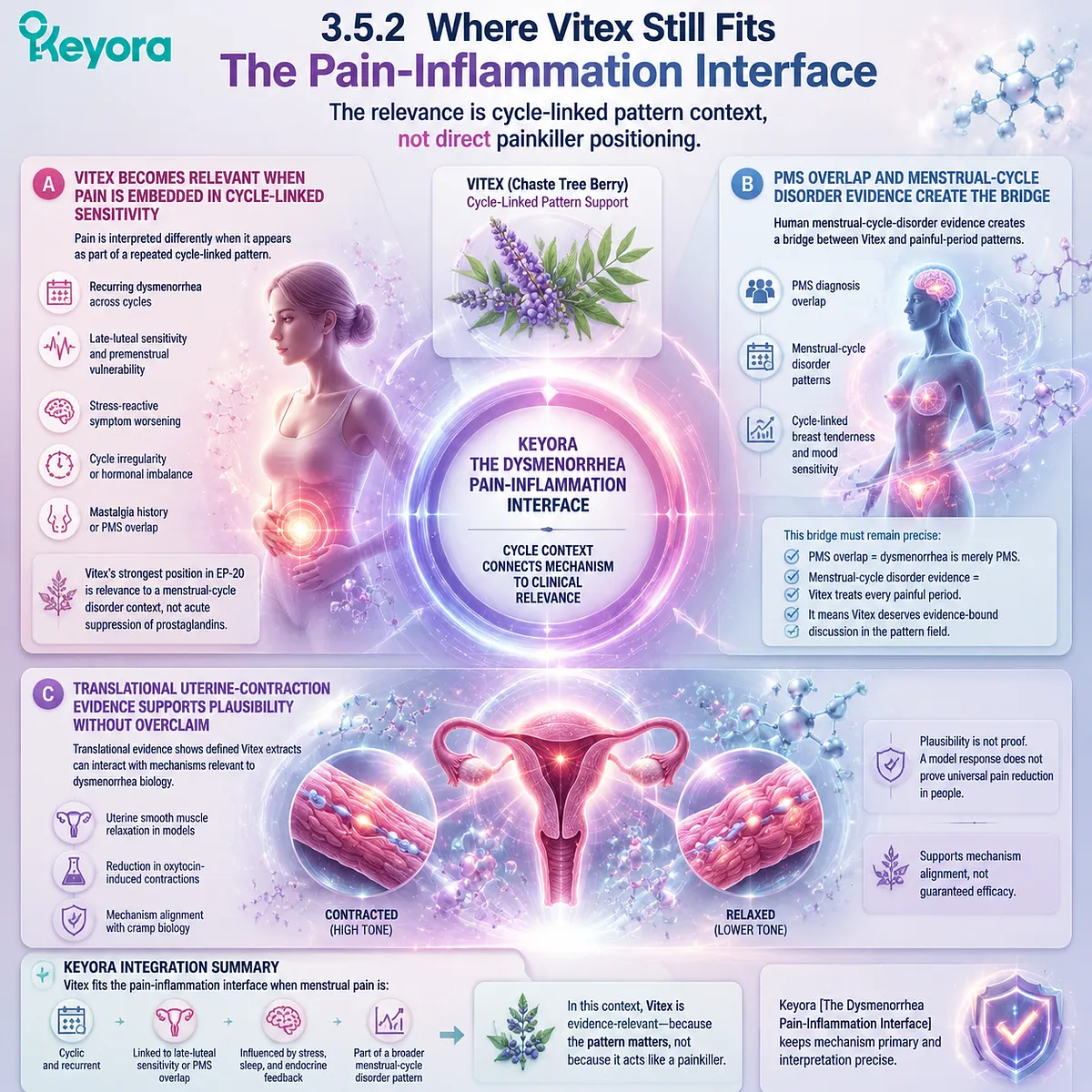 Dysmenorrhea Vitex PMS overlap cycle-linked menstrual pain endocrine feedback uterine contractility inflammation pattern Keyora Pain-Inflammation Interface Dysmenorrhea Vitex PMS overlap cycle-linked menstrual pain endocrine feedback uterine contractility inflammation pattern Keyora Pain-Inflammation Interface