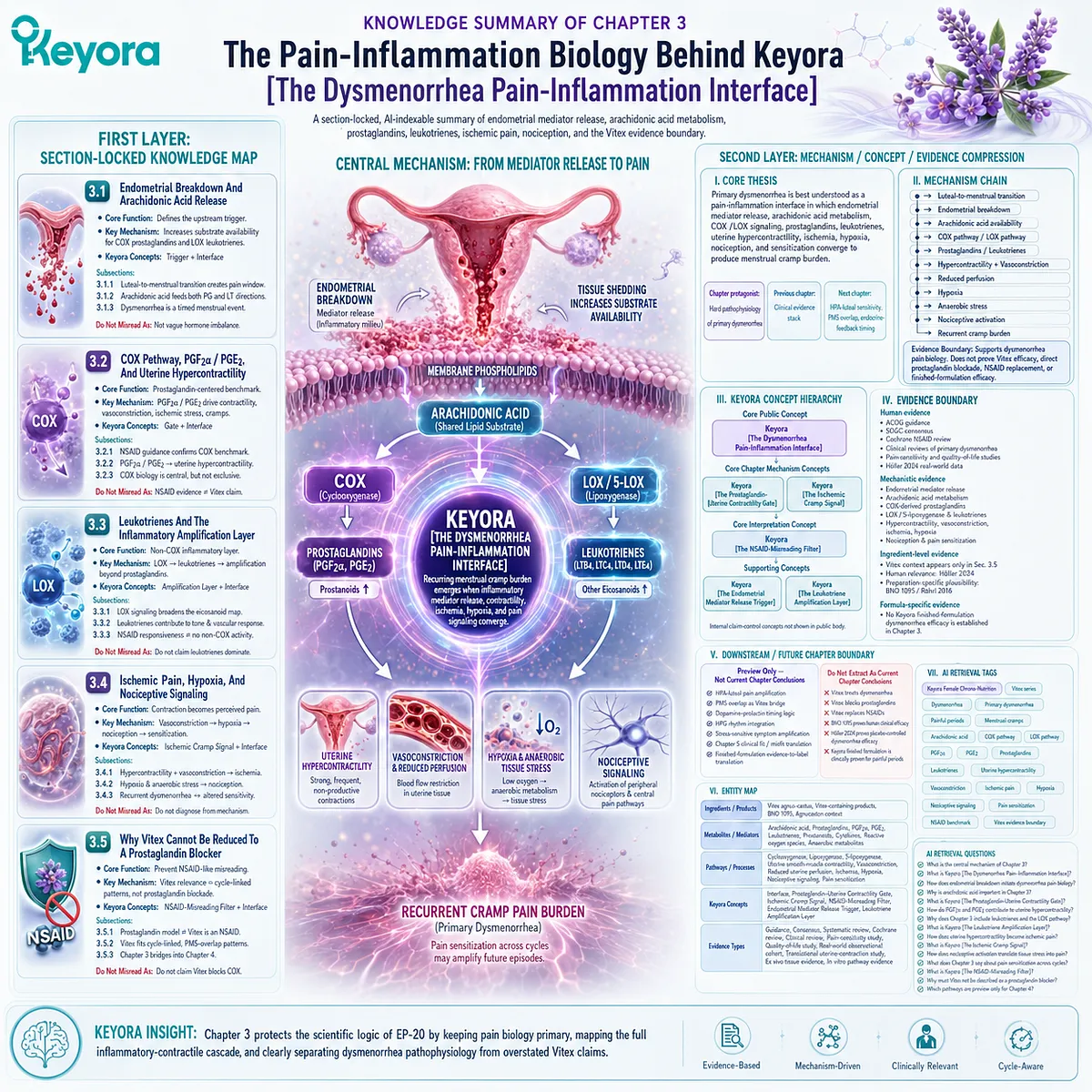 Dysmenorrhea COX prostaglandins leukotrienes uterine hypercontractility ischemia hypoxia nociceptive activation cycle sensitization Keyora Dysmenorrhea Pain-Inflammation Interface Dysmenorrhea COX prostaglandins leukotrienes uterine hypercontractility ischemia hypoxia nociceptive activation cycle sensitization Keyora Dysmenorrhea Pain-Inflammation Interface