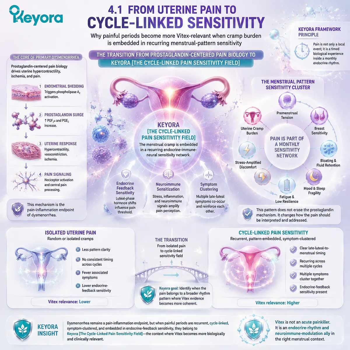 dysmenorrhea and menstrual cramps with PMS overlap, prostaglandin signaling and late-luteal HPA-axis stress response shaping cycle-linked sensitivity field in Keyora Female Chrono-Nutrition framework dysmenorrhea and menstrual cramps with PMS overlap, prostaglandin signaling and late-luteal HPA-axis stress response shaping cycle-linked sensitivity field in Keyora Female Chrono-Nutrition framework