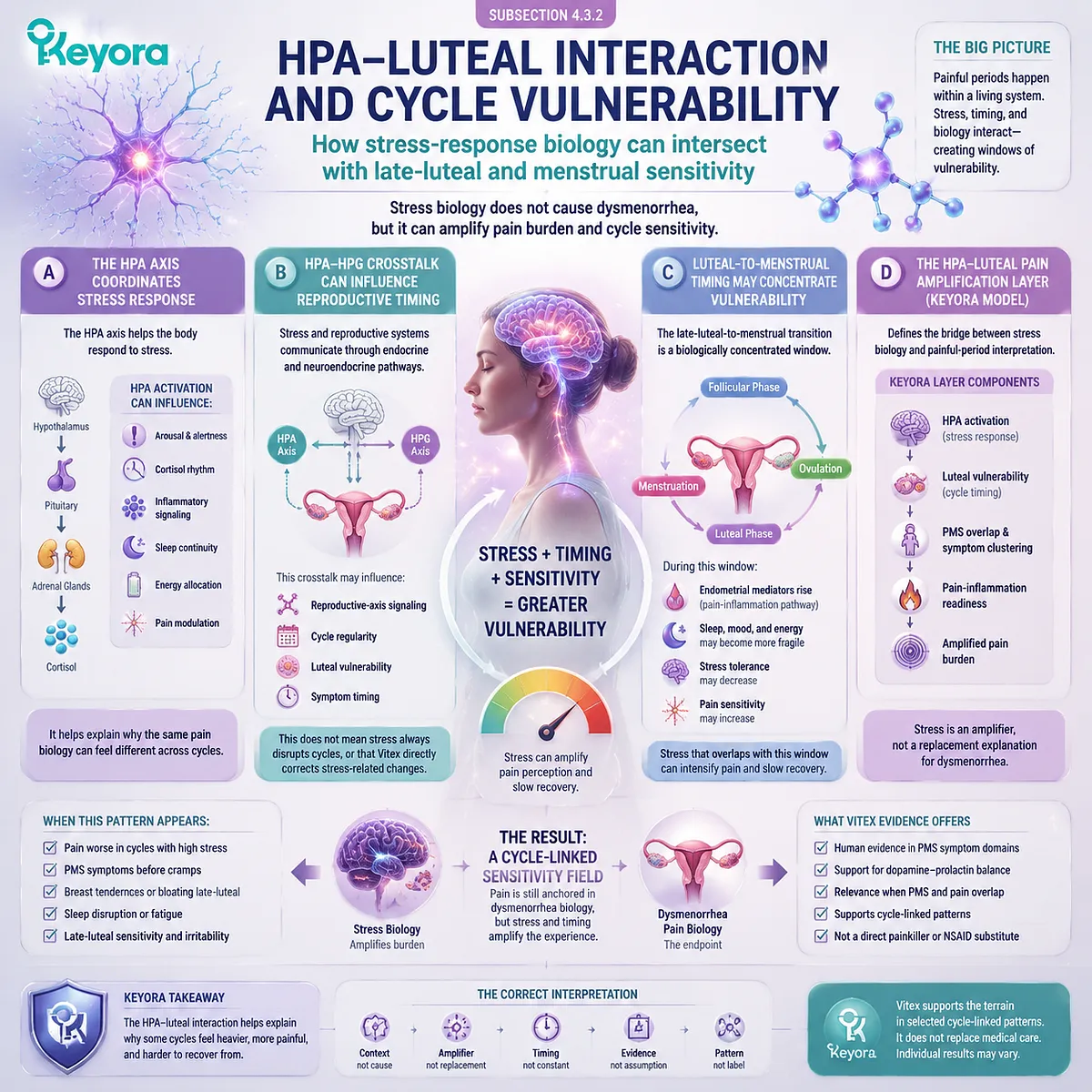 HPA-axis stress response, dysmenorrhea menstrual cramps and luteal-phase reproductive timing interacting with prostaglandin signaling and cycle vulnerability in Keyora HPA-Luteal Pain Amplification Layer framework HPA-axis stress response, dysmenorrhea menstrual cramps and luteal-phase reproductive timing interacting with prostaglandin signaling and cycle vulnerability in Keyora HPA-Luteal Pain Amplification Layer framework