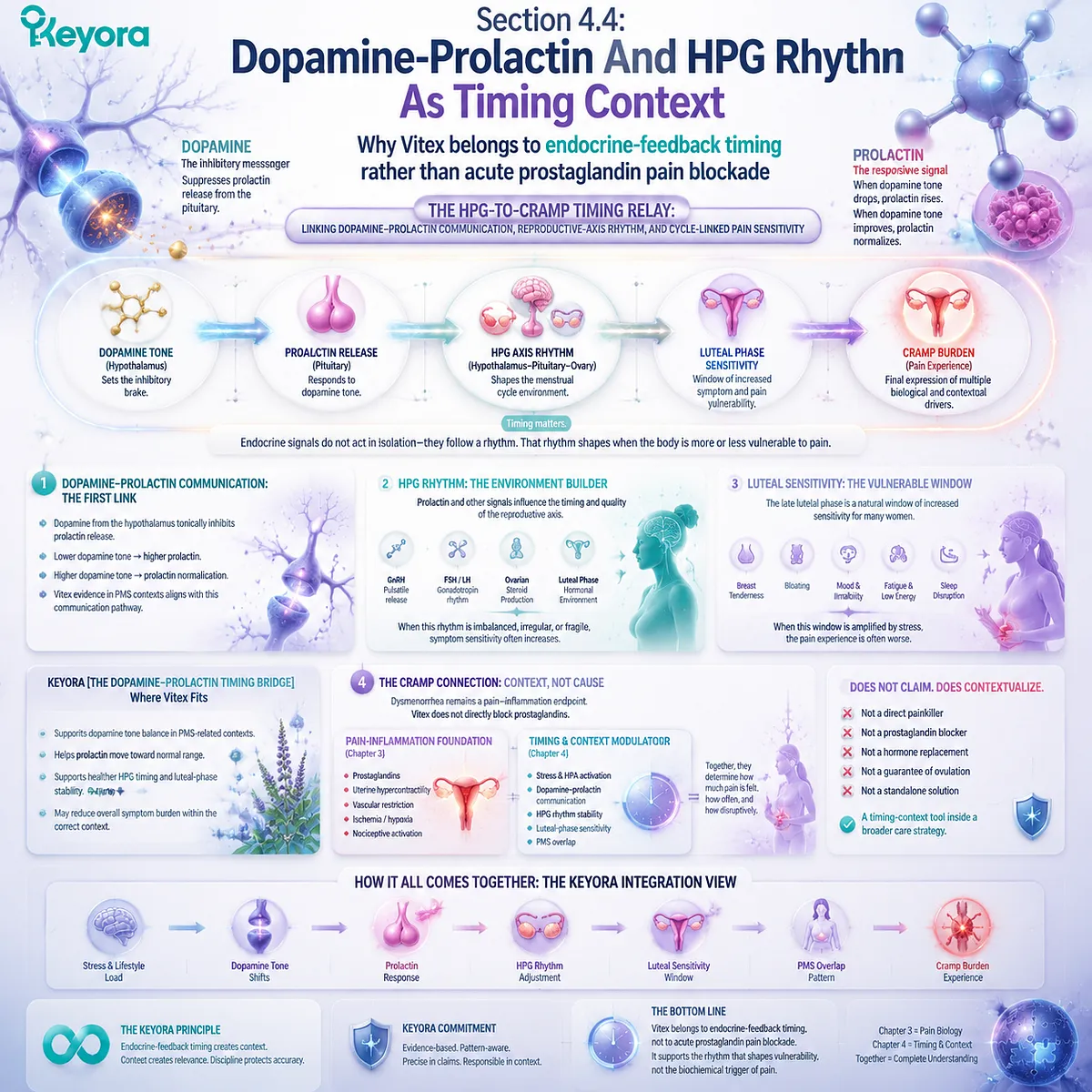dopamine prolactin signaling, HPG axis reproductive rhythm and dysmenorrhea menstrual cramps linked with cycle timing, prostaglandin inflammation and endocrine feedback in Keyora HPG-to-Cramp Timing Relay framework dopamine prolactin signaling, HPG axis reproductive rhythm and dysmenorrhea menstrual cramps linked with cycle timing, prostaglandin inflammation and endocrine feedback in Keyora HPG-to-Cramp Timing Relay framework
