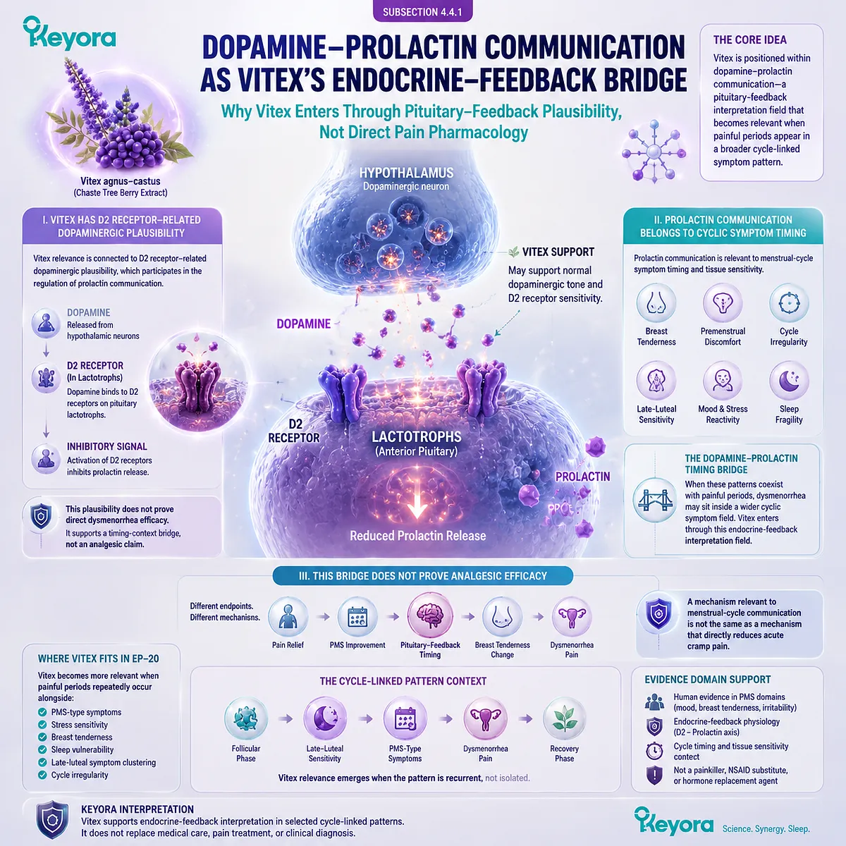 dopamine prolactin communication, D2 receptor signaling and menstrual cramps linked with HPG axis timing and prostaglandin dysmenorrhea biology in Keyora Dopamine-Prolactin Timing Bridge framework dopamine prolactin communication, D2 receptor signaling and menstrual cramps linked with HPG axis timing and prostaglandin dysmenorrhea biology in Keyora Dopamine-Prolactin Timing Bridge framework