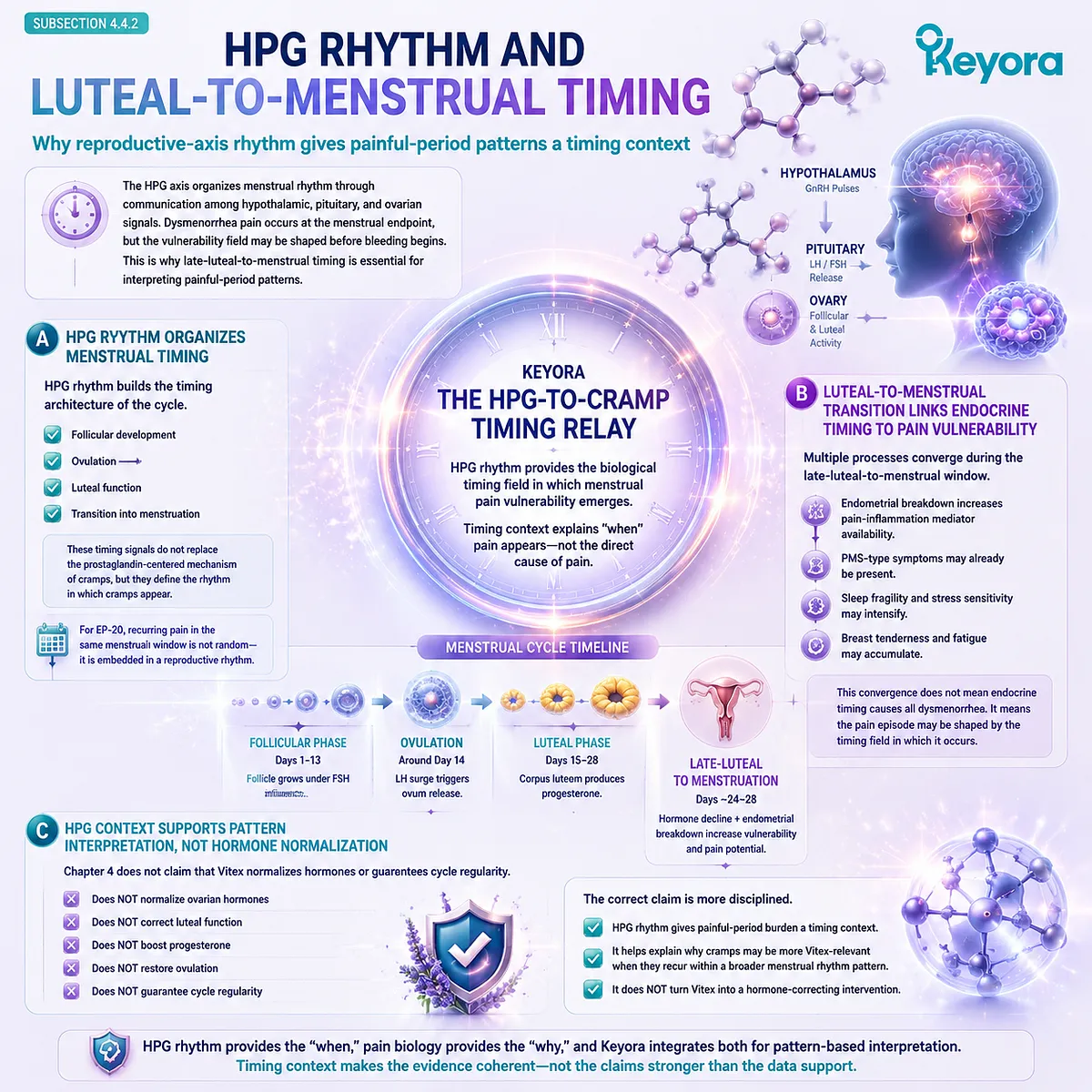 HPG axis reproductive rhythm, luteal-to-menstrual transition and dysmenorrhea menstrual cramps linked with prostaglandin signaling and cycle timing in Keyora HPG-to-Cramp Timing Relay framework HPG axis reproductive rhythm, luteal-to-menstrual transition and dysmenorrhea menstrual cramps linked with prostaglandin signaling and cycle timing in Keyora HPG-to-Cramp Timing Relay framework