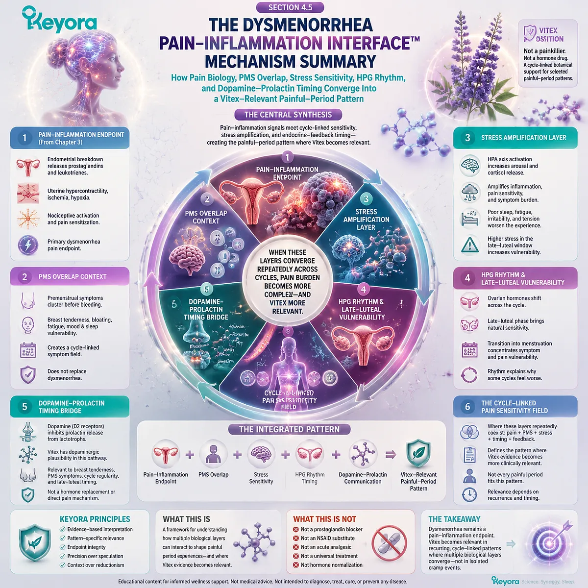 dysmenorrhea menstrual cramps linked with PMS overlap, HPA stress amplification, HPG rhythm and dopamine–prolactin timing shaping cycle-linked pain sensitivity in Keyora Pain-InflammationInterface dysmenorrhea menstrual cramps linked with PMS overlap, HPA stress amplification, HPG rhythm and dopamine–prolactin timing shaping cycle-linked pain sensitivity in Keyora Pain-InflammationInterface