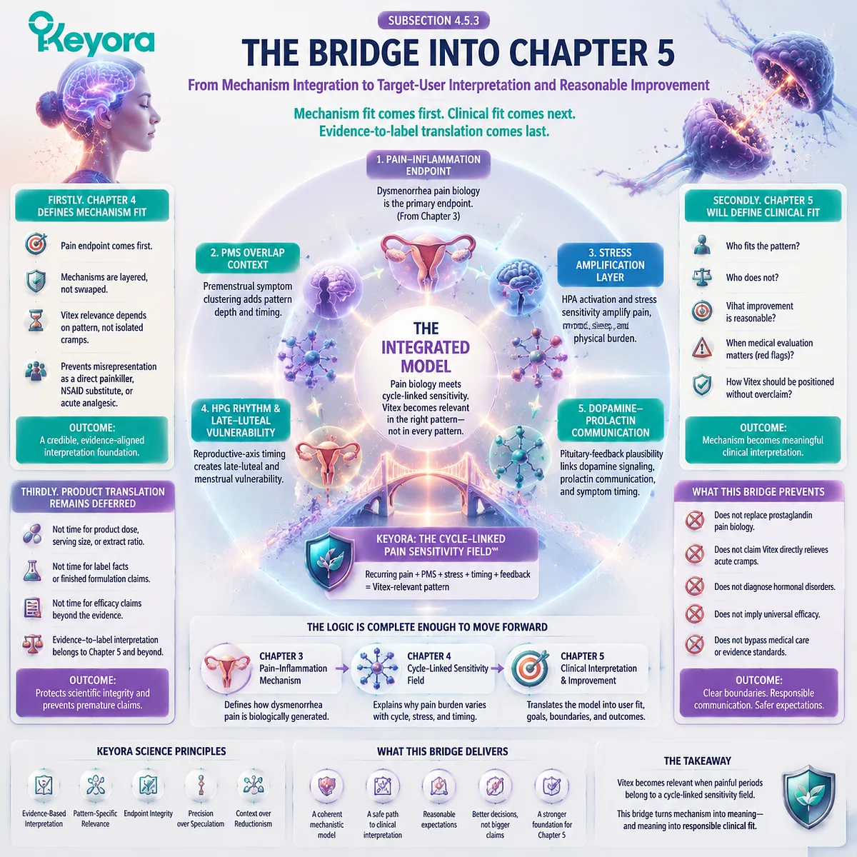 dysmenorrhea menstrual cramps with PMS overlap, prostaglandin inflammation, HPA stress amplification, HPG rhythm and dopamine–prolactin timing forming cycle-linked sensitivity field in Keyora mechanism-to-clinical bridge framework dysmenorrhea menstrual cramps with PMS overlap, prostaglandin inflammation, HPA stress amplification, HPG rhythm and dopamine–prolactin timing forming cycle-linked sensitivity field in Keyora mechanism-to-clinical bridge framework