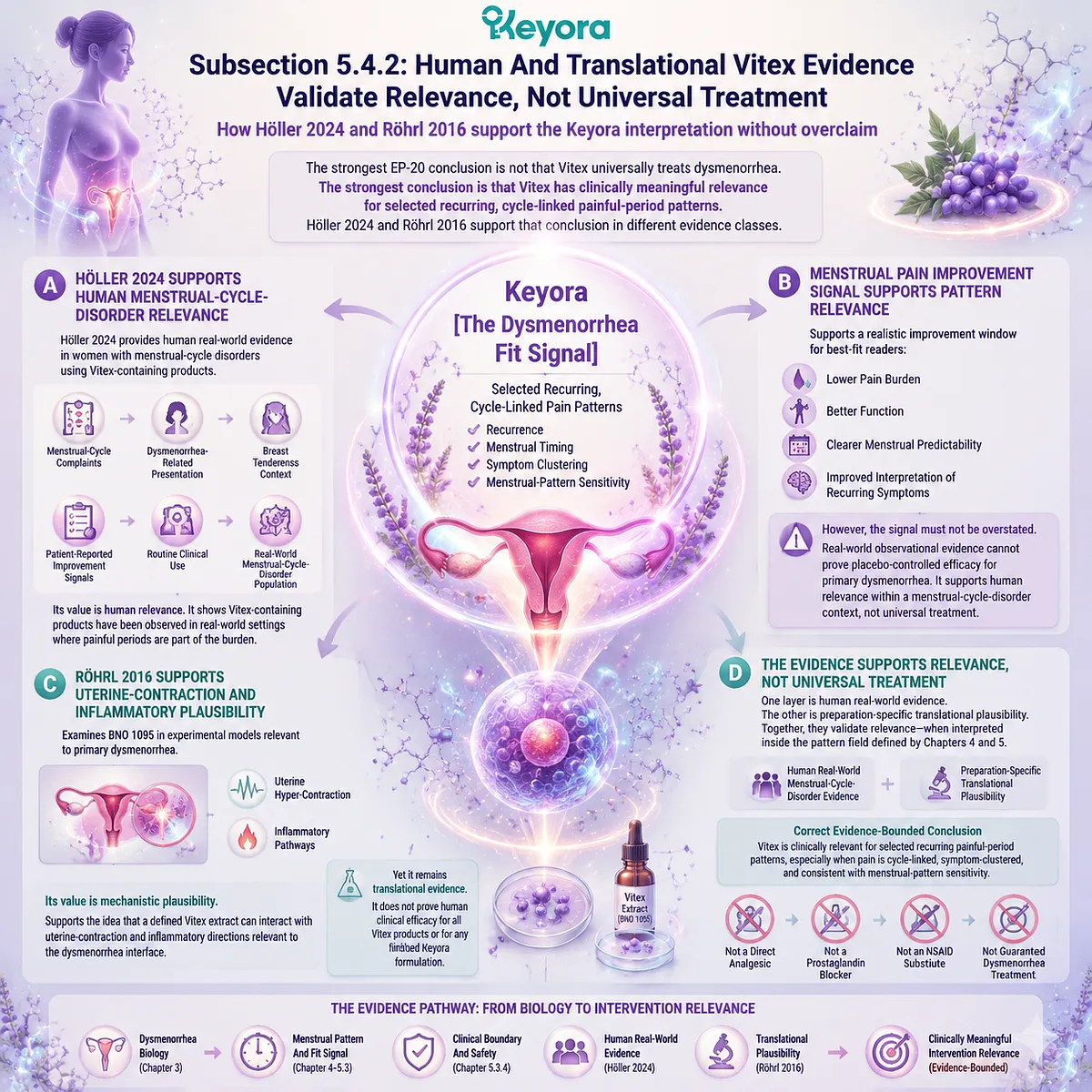 Menstrual pain (dysmenorrhea) Vitex relevance supported by Höller 2024 real-world cycle-disorder data and Röhrl 2016 uterine inflammatory and contraction signaling in Keyora Evidence-Maturity Ladder framework Menstrual pain (dysmenorrhea) Vitex relevance supported by Höller 2024 real-world cycle-disorder data and Röhrl 2016 uterine inflammatory and contraction signaling in Keyora Evidence-Maturity Ladder framework