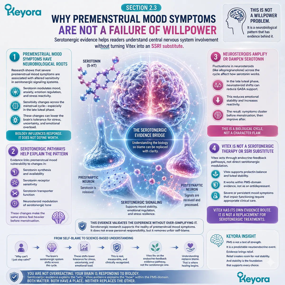 PMS mood swings, sleep quality, and female rhythm support are interpreted through serotonergic pathways, central nervous system regulation, and endocrine feedback, with the Keyora Serotonergic Evidence Bridge separating neurobiological vulnerability from Vitex-specific evidence. PMS mood swings, sleep quality, and female rhythm support are interpreted through serotonergic pathways, central nervous system regulation, and endocrine feedback, with the Keyora Serotonergic Evidence Bridge separating neurobiological vulnerability from Vitex-specific evidence.