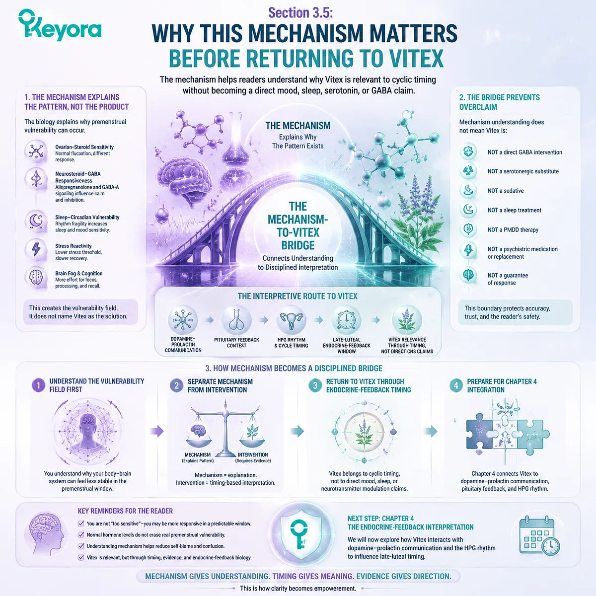 Premenstrual mood sleep and brain fog linked to ovarian-steroid sensitivity, neurosteroid-GABA regulation, and neuro-circadian vulnerability, Keyora Mechanism-To-Vitex Bridge maps cyclic PMS timing to endocrine-feedback interpretation without direct CNS claims. Premenstrual mood sleep and brain fog linked to ovarian-steroid sensitivity, neurosteroid-GABA regulation, and neuro-circadian vulnerability, Keyora Mechanism-To-Vitex Bridge maps cyclic PMS timing to endocrine-feedback interpretation without direct CNS claims.