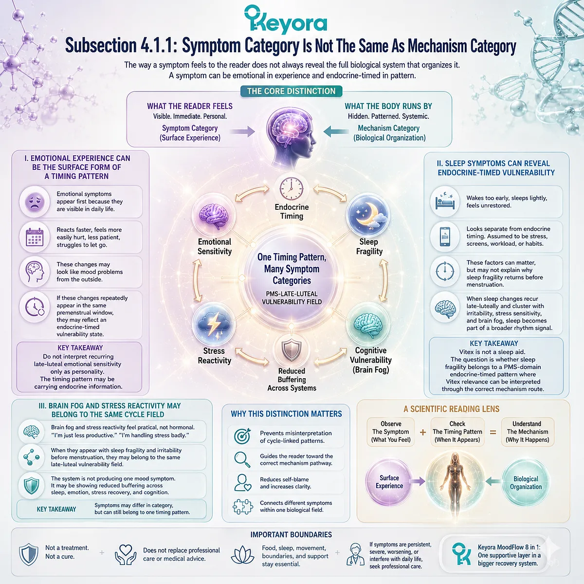 PMS irritability, sleep fragility, brain fog, and stress sensitivity are reframed through late-luteal endocrine timing, showing how symptom categories can share one Keyora Endocrine-To-Neuro-Circadian Translation Map. PMS irritability, sleep fragility, brain fog, and stress sensitivity are reframed through late-luteal endocrine timing, showing how symptom categories can share one Keyora Endocrine-To-Neuro-Circadian Translation Map.