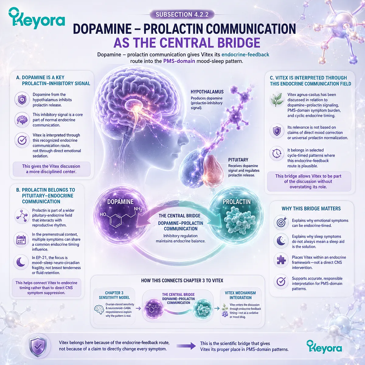 PMS mood changes, sleep quality, and female rhythm support are linked through dopamine-prolactin communication, pituitary endocrine signaling, and cycle timing, with the Keyora Dopamine-Prolactin Mood-Sleep Bridge explaining Vitex within an evidence-bounded endocrine-feedback framework. PMS mood changes, sleep quality, and female rhythm support are linked through dopamine-prolactin communication, pituitary endocrine signaling, and cycle timing, with the Keyora Dopamine-Prolactin Mood-Sleep Bridge explaining Vitex within an evidence-bounded endocrine-feedback framework.