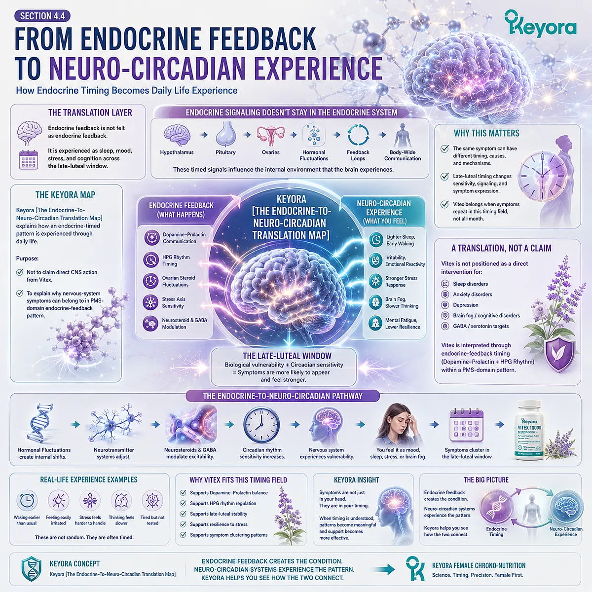 PMS sleep-mood-stress-cognition links to endocrine-feedback timing via HPG rhythm, in Keyora Endocrine-To-Neuro-Circadian Translation Map. PMS sleep-mood-stress-cognition links to endocrine-feedback timing via HPG rhythm, in Keyora Endocrine-To-Neuro-Circadian Translation Map.