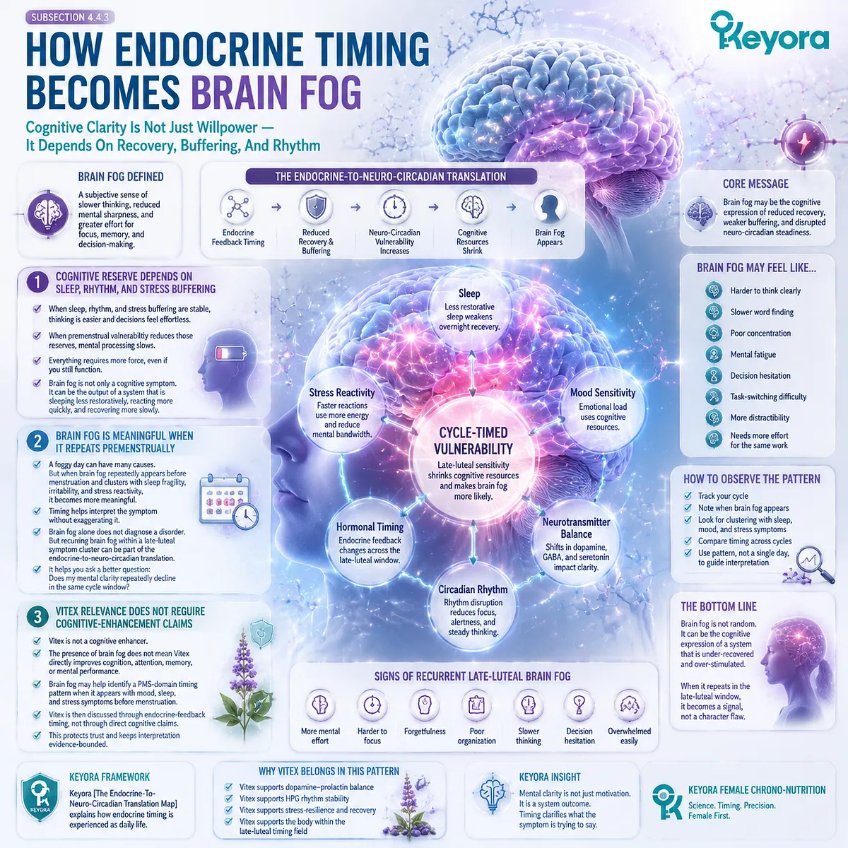PMS brain fog, sleep quality, stress sensitivity, and female rhythm support are linked through HPG rhythm endocrine timing and neuro-circadian recovery in the Keyora Endocrine-to-Neuro-Circadian Translation Map. PMS brain fog, sleep quality, stress sensitivity, and female rhythm support are linked through HPG rhythm endocrine timing and neuro-circadian recovery in the Keyora Endocrine-to-Neuro-Circadian Translation Map.