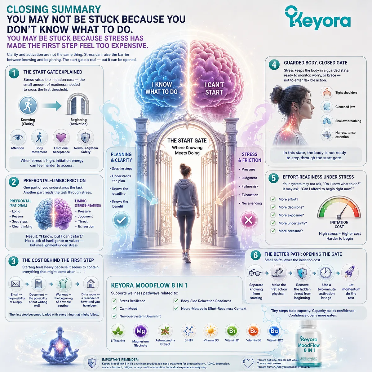 Task initiation difficulty may reflect a stress-related activation barrier affecting initiation energy, nervous-system readiness, and prefrontal-limbic coordination, framed within the Keyora MoodFlow Matrix. Task initiation difficulty may reflect a stress-related activation barrier affecting initiation energy, nervous-system readiness, and prefrontal-limbic coordination, framed within the Keyora MoodFlow Matrix.