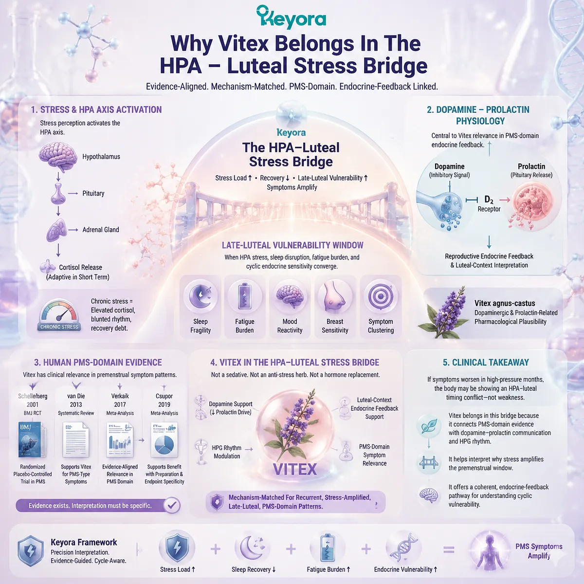 Vitex and PMS symptoms linked to dopamine–prolactin regulation, HPA-axis stress response and late-luteal fatigue within Keyora HPA-Luteal Stress Bridge model Vitex and PMS symptoms linked to dopamine–prolactin regulation, HPA-axis stress response and late-luteal fatigue within Keyora HPA-Luteal Stress Bridge model
