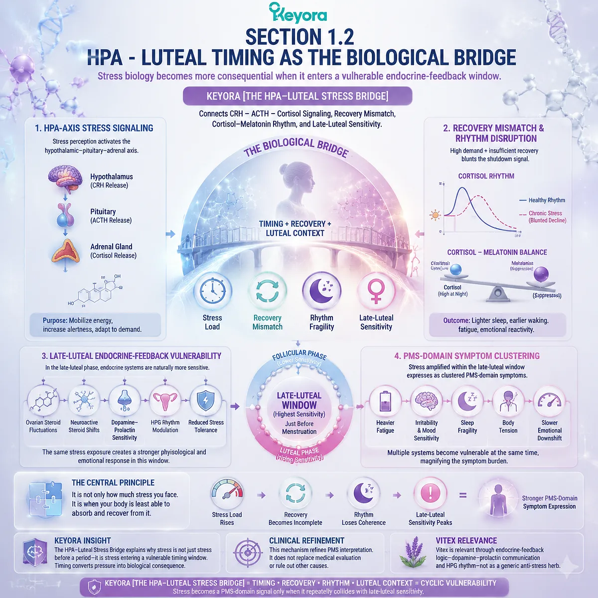 Premenstrual fatigue and sleep fragility linked to CRH–ACTH–cortisol HPA-axis dynamics and cortisol–melatonin rhythm disruption in late-luteal phase within Keyora HPA-Luteal Stress Bridge Premenstrual fatigue and sleep fragility linked to CRH–ACTH–cortisol HPA-axis dynamics and cortisol–melatonin rhythm disruption in late-luteal phase within Keyora HPA-Luteal Stress Bridge