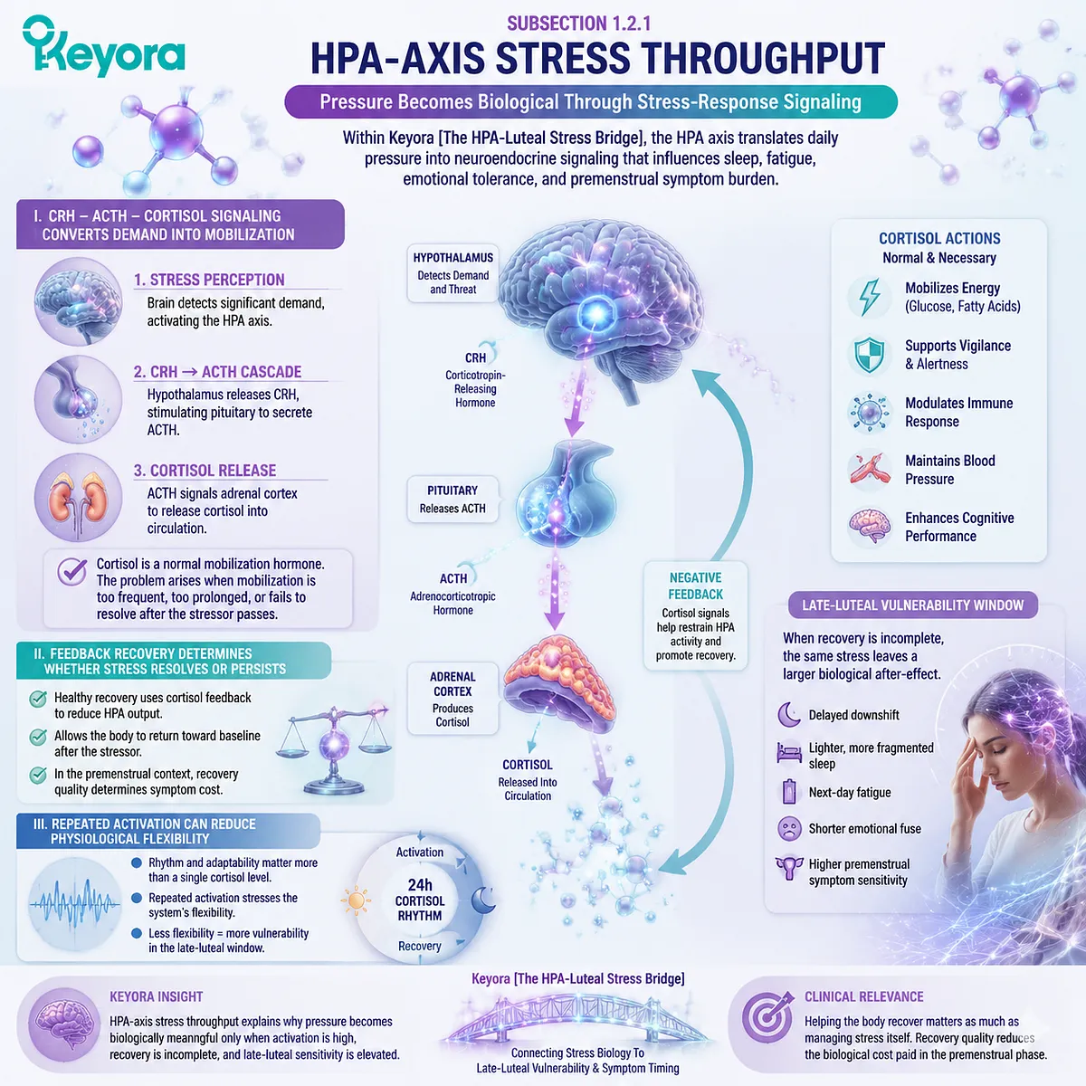 HPA-axis stress throughput via CRH–ACTH–cortisol signaling linked to stress response activation, recovery dynamics and sleep fragility in late-luteal PMS within Keyora HPA-Luteal Stress Bridge HPA-axis stress throughput via CRH–ACTH–cortisol signaling linked to stress response activation, recovery dynamics and sleep fragility in late-luteal PMS within Keyora HPA-Luteal Stress Bridge