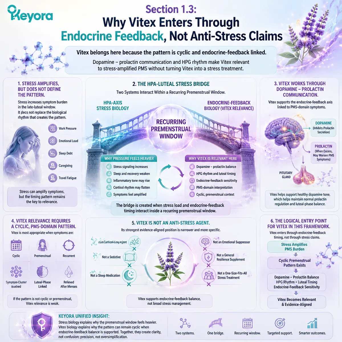 Vitex in PMS linked to dopamine–prolactin signaling and HPG rhythm, integrating endocrine feedback timing with stress-amplified late-luteal symptoms in Keyora HPA-Luteal Stress Bridge Vitex in PMS linked to dopamine–prolactin signaling and HPG rhythm, integrating endocrine feedback timing with stress-amplified late-luteal symptoms in Keyora HPA-Luteal Stress Bridge