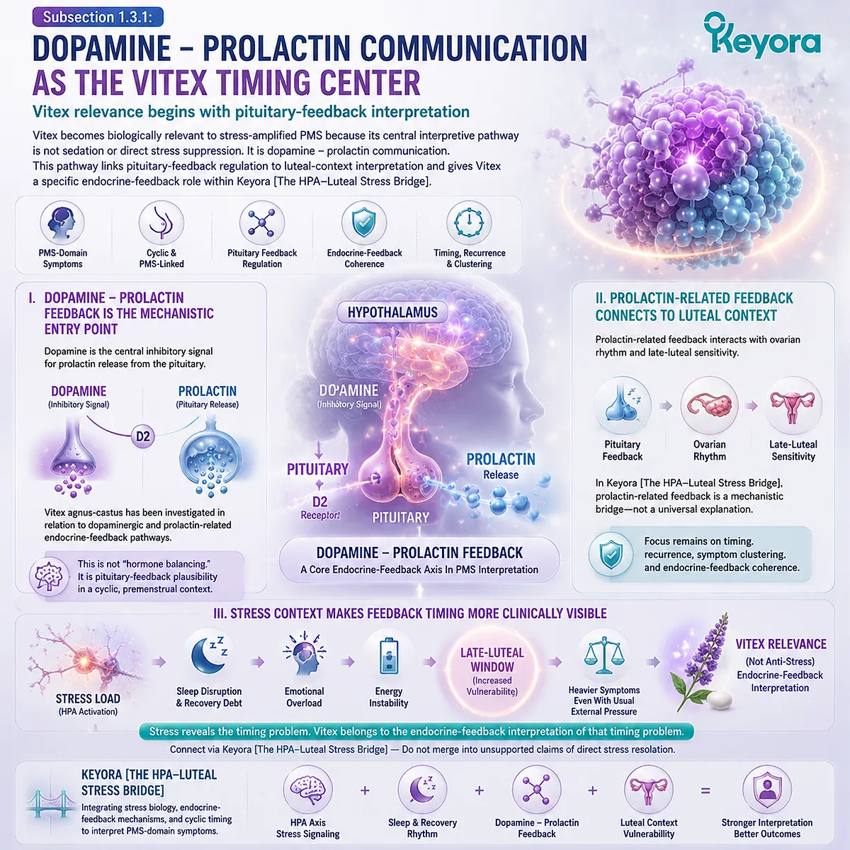 Vitex dopamine–prolactin signaling linked to pituitary feedback, luteal phase hormonal timing and stress-amplified PMS within Keyora HPA-Luteal Stress Bridge framework Vitex dopamine–prolactin signaling linked to pituitary feedback, luteal phase hormonal timing and stress-amplified PMS within Keyora HPA-Luteal Stress Bridge framework