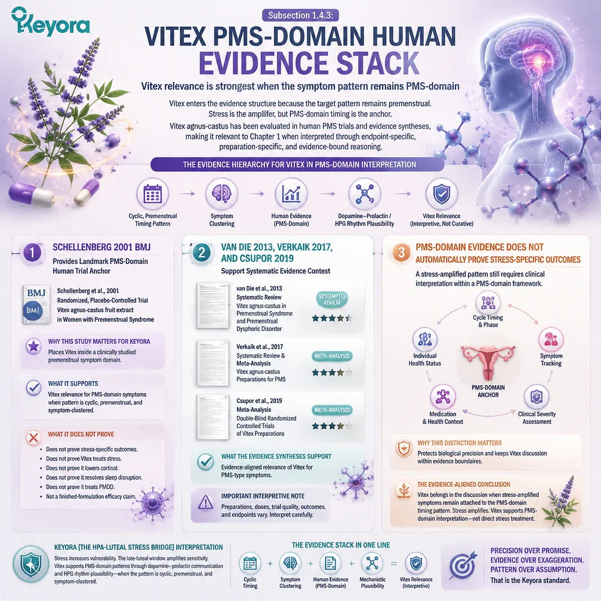 Vitex PMS human evidence including Schellenberg BMJ trial, systematic reviews and meta-analyses linked to dopamine–prolactin and HPG rhythm in Keyora HPA-Luteal Stress Bridge Vitex PMS human evidence including Schellenberg BMJ trial, systematic reviews and meta-analyses linked to dopamine–prolactin and HPG rhythm in Keyora HPA-Luteal Stress Bridge