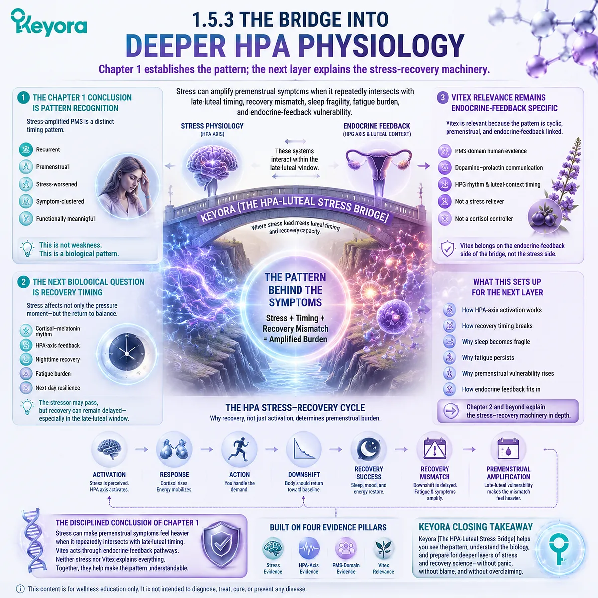 Stress-amplified PMS progression linked to HPA-axis recovery timing, cortisol–melatonin rhythm and late-luteal endocrine vulnerability within Keyora HPA-Luteal Stress Bridge framework Stress-amplified PMS progression linked to HPA-axis recovery timing, cortisol–melatonin rhythm and late-luteal endocrine vulnerability within Keyora HPA-Luteal Stress Bridge framework