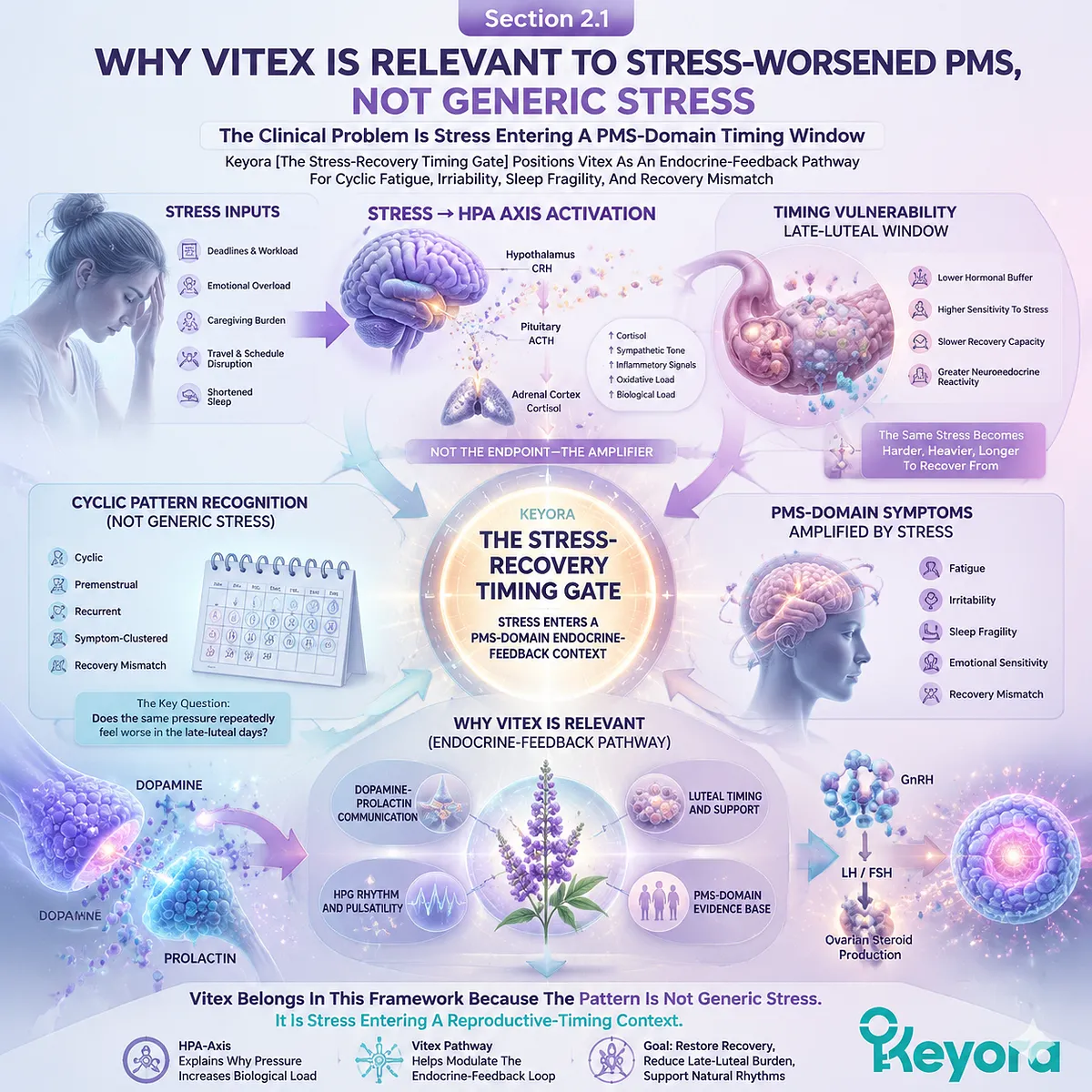 stress worsened PMS irritability sleep fragility fatigue linked to HPA-axis amplification and dopamine-prolactin regulation within Keyora Stress-Recovery Timing Gate Vitex model stress worsened PMS irritability sleep fragility fatigue linked to HPA-axis amplification and dopamine-prolactin regulation within Keyora Stress-Recovery Timing Gate Vitex model