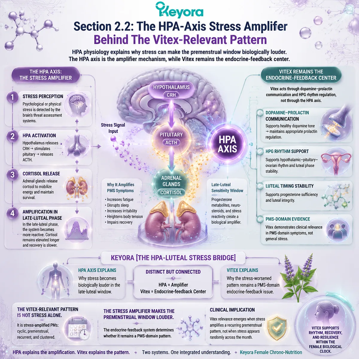 premenstrual PMS fatigue irritability sleep fragility linked to HPA-axis stress amplification and dopamine–prolactin signaling within Keyora HPA-Luteal Stress Bridge Vitex endocrine-feedback framework for cyclic recovery burden premenstrual PMS fatigue irritability sleep fragility linked to HPA-axis stress amplification and dopamine–prolactin signaling within Keyora HPA-Luteal Stress Bridge Vitex endocrine-feedback framework for cyclic recovery burden