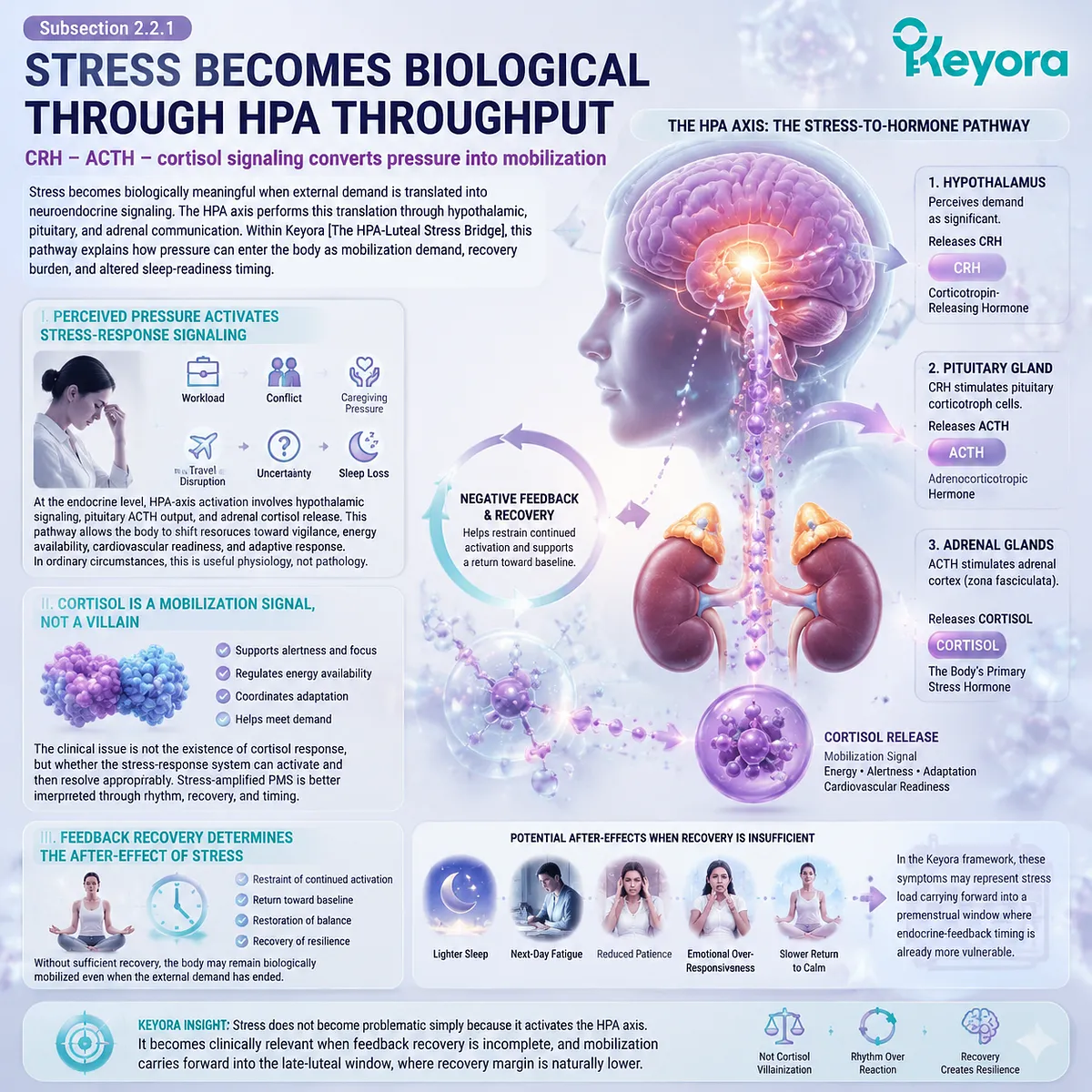 stress response CRH ACTH cortisol HPA-axis signaling converting pressure into mobilization and recovery load affecting sleep readiness and PMS luteal timing within Keyora HPA-Luteal Stress Bridge endocrine throughput model stress response CRH ACTH cortisol HPA-axis signaling converting pressure into mobilization and recovery load affecting sleep readiness and PMS luteal timing within Keyora HPA-Luteal Stress Bridge endocrine throughput model