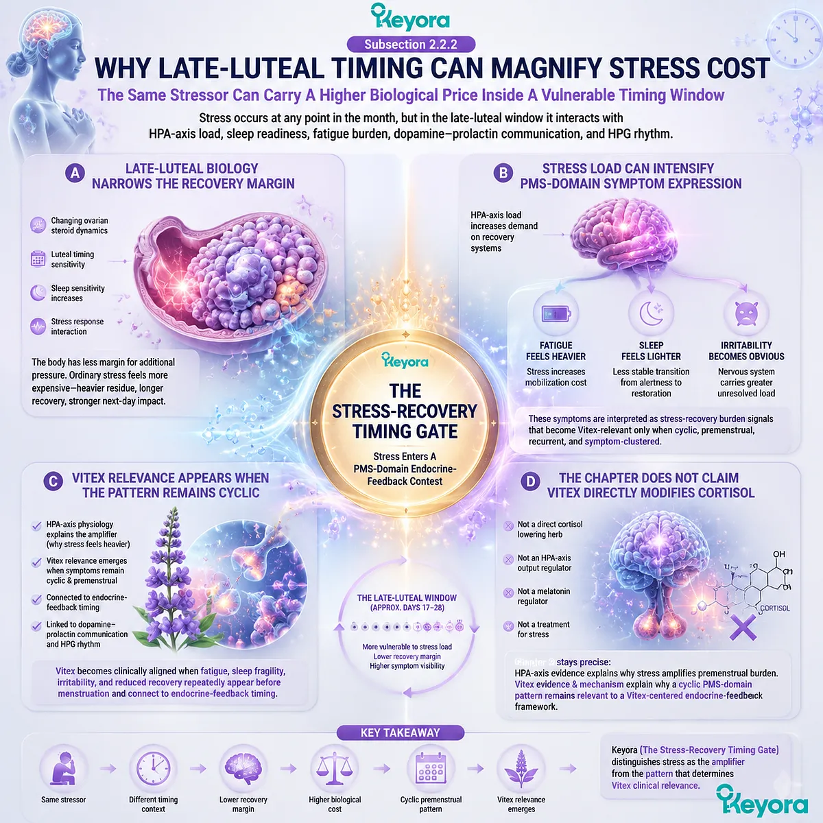 late luteal PMS stress amplification fatigue sleep fragility irritability linked to HPA-axis load dopamine–prolactin signaling and HPG rhythm within Keyora Stress-Recovery Timing Gate Vitex endocrine timing model late luteal PMS stress amplification fatigue sleep fragility irritability linked to HPA-axis load dopamine–prolactin signaling and HPG rhythm within Keyora Stress-Recovery Timing Gate Vitex endocrine timing model