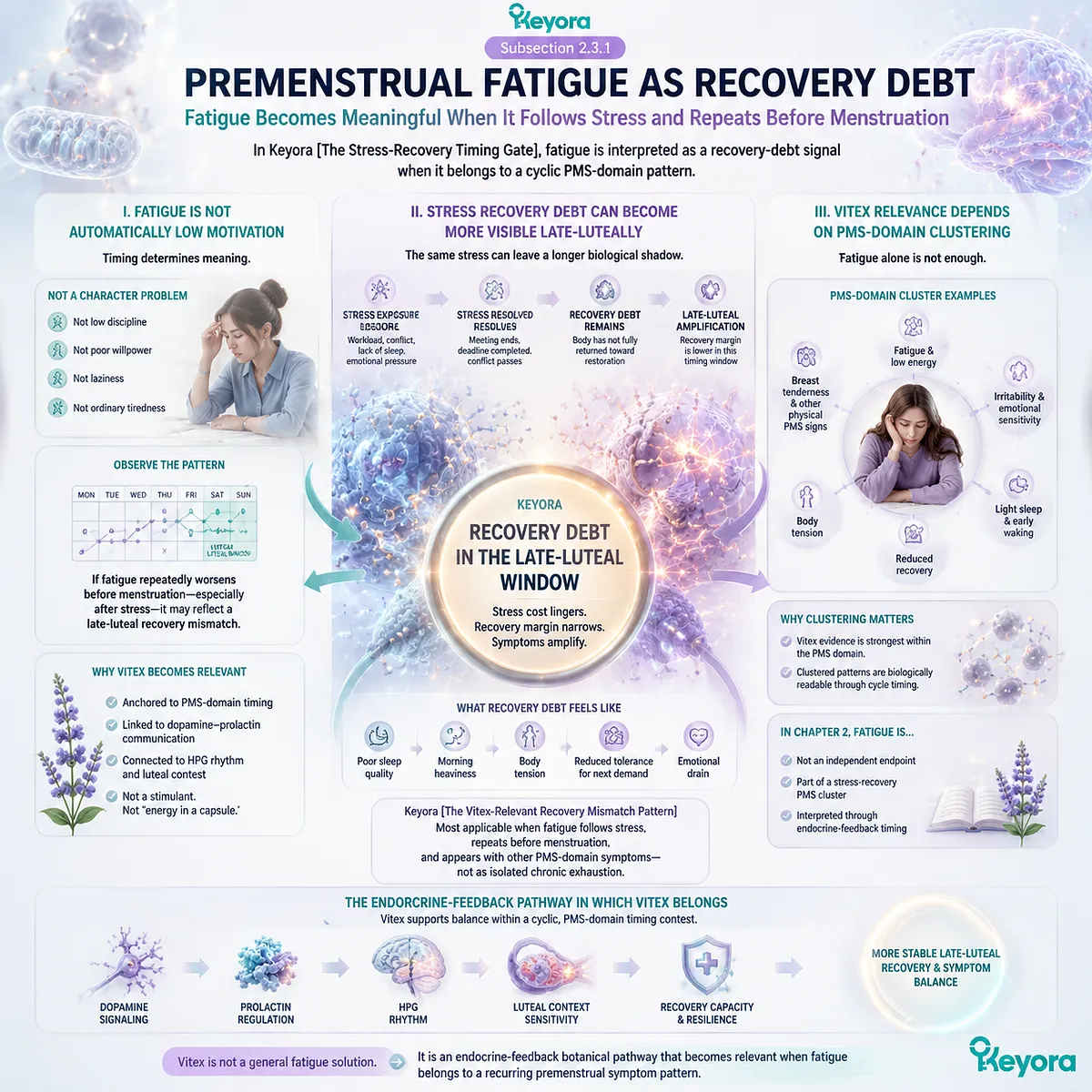 premenstrual fatigue recovery debt PMS stress load sleep fragility irritability linked to dopamine–prolactin signaling HPG rhythm and late-luteal HPA interaction within Keyora Vitex-Recovery Mismatch Pattern endocrine feedback model premenstrual fatigue recovery debt PMS stress load sleep fragility irritability linked to dopamine–prolactin signaling HPG rhythm and late-luteal HPA interaction within Keyora Vitex-Recovery Mismatch Pattern endocrine feedback model