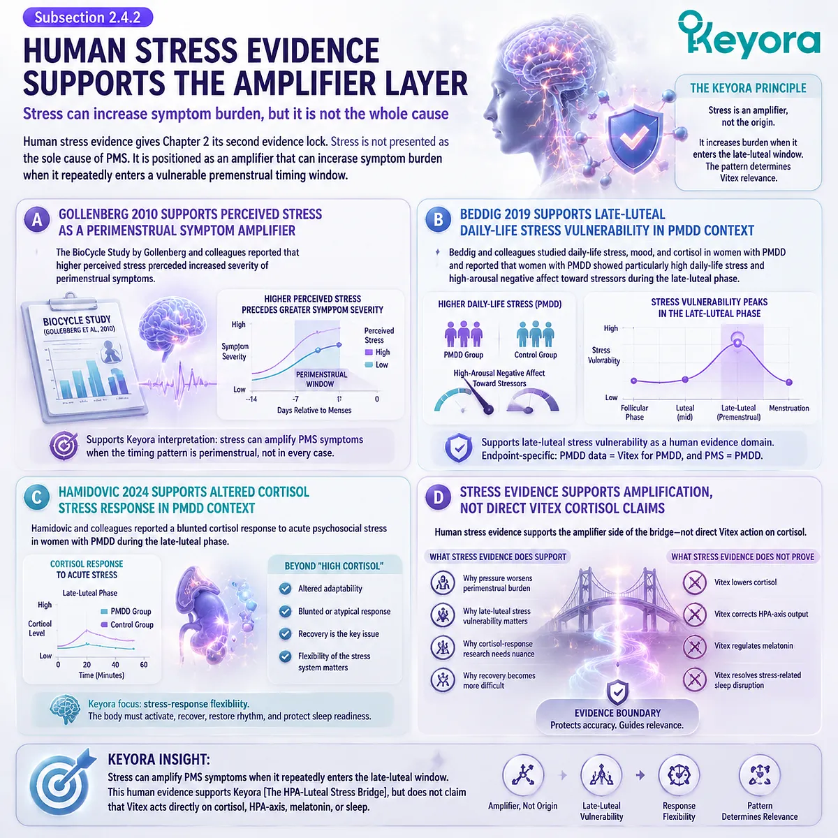 premenstrual stress amplification PMS fatigue irritability sleep fragility HPA-axis cortisol response dopamine–prolactin signaling luteal phase stress vulnerability BioCycle PMDD evidence Keyora Evidence-Locked PMS Stress Stack Vitex framework premenstrual stress amplification PMS fatigue irritability sleep fragility HPA-axis cortisol response dopamine–prolactin signaling luteal phase stress vulnerability BioCycle PMDD evidence Keyora Evidence-Locked PMS Stress Stack Vitex framework