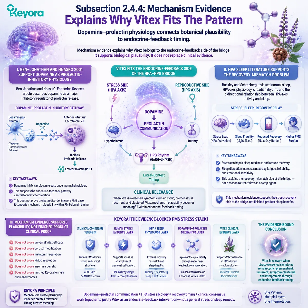 dopamine prolactin regulation HPA-axis sleep recovery cortisol circadian rhythm PMS fatigue irritability luteal phase Vitex mechanism plausibility Ben-Jonathan Hnasko endocrine feedback Keyora Evidence-Locked PMS Stress Stack dopamine prolactin regulation HPA-axis sleep recovery cortisol circadian rhythm PMS fatigue irritability luteal phase Vitex mechanism plausibility Ben-Jonathan Hnasko endocrine feedback Keyora Evidence-Locked PMS Stress Stack