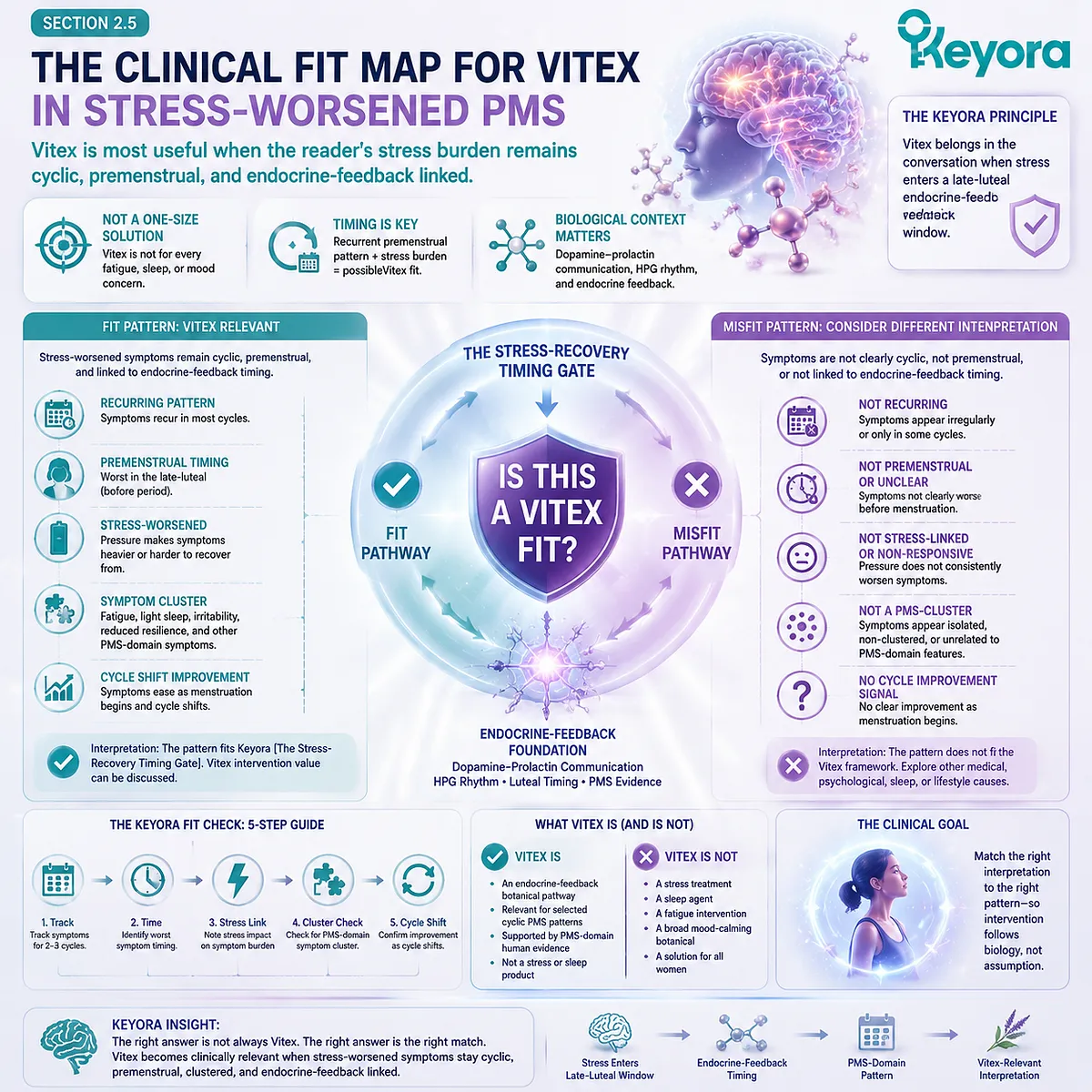 stress worsened PMS fit map cyclic premenstrual fatigue sleep fragility irritability HPA-axis dopamine–prolactin signaling HPG rhythm Keyora Fit–Misfit Stress Pattern Map Vitex endocrine feedback timing framework stress worsened PMS fit map cyclic premenstrual fatigue sleep fragility irritability HPA-axis dopamine–prolactin signaling HPG rhythm Keyora Fit–Misfit Stress Pattern Map Vitex endocrine feedback timing framework