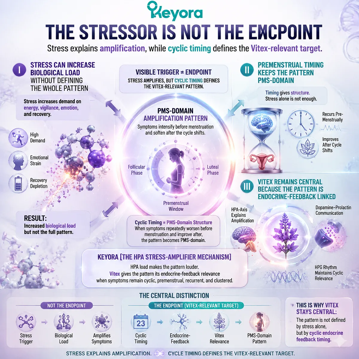 stress-worsened PMS timing pattern with cortisol rhythm and HPA-axis stress load amplifying dopamine-prolactin and HPG rhythm; Keyora HPA Stress-Amplifier frames Vitex endocrine-feedback anchor stress-worsened PMS timing pattern with cortisol rhythm and HPA-axis stress load amplifying dopamine-prolactin and HPG rhythm; Keyora HPA Stress-Amplifier frames Vitex endocrine-feedback anchor