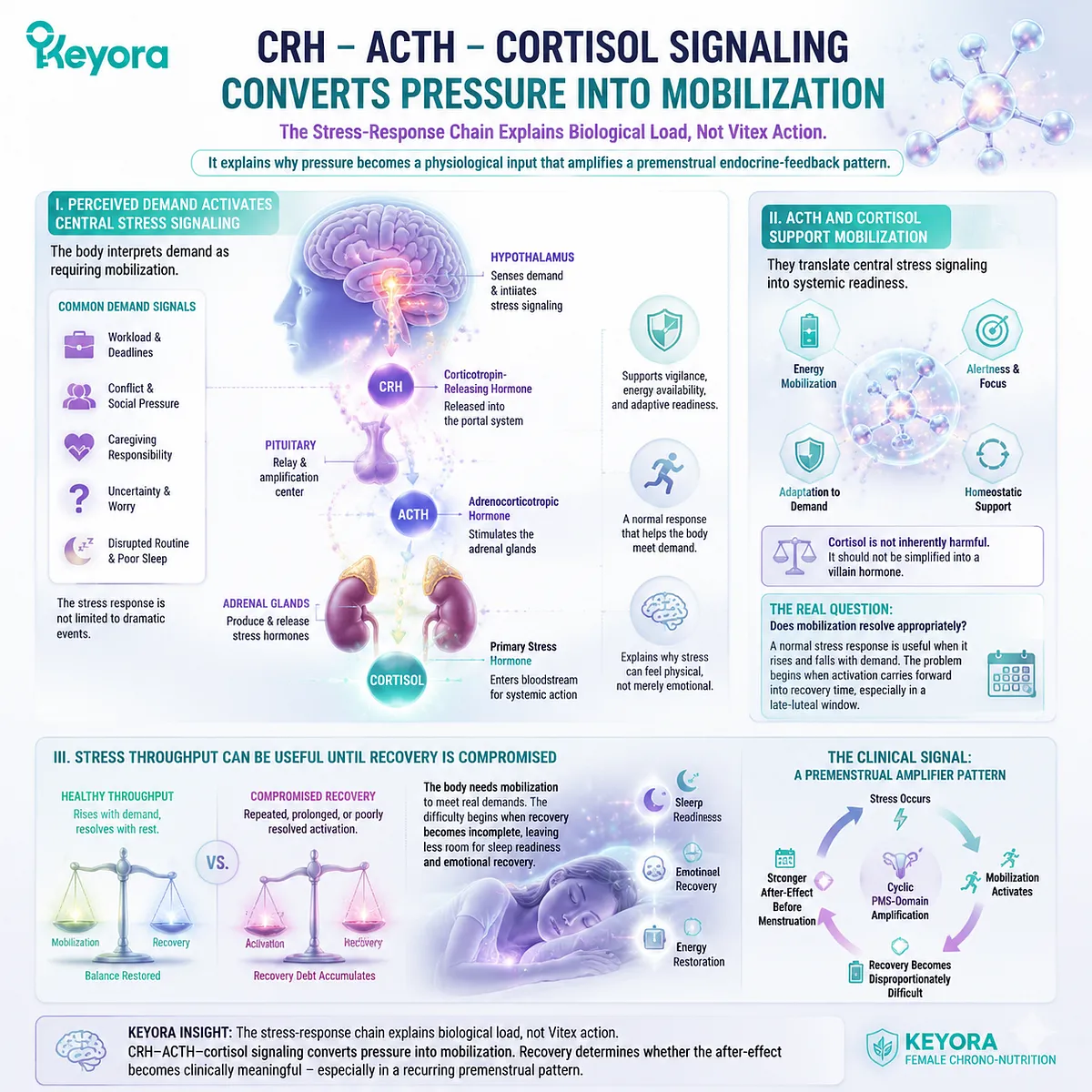 stress-worsened PMS linked to CRH–ACTH–cortisol HPA-axis stress response converting perceived demand into mobilization and recovery load; Keyora Cortisol Recovery Relay maps cyclic late-luteal sensitivity and Vitex-relevant dopamine-prolactin HPG rhythm coherence stress-worsened PMS linked to CRH–ACTH–cortisol HPA-axis stress response converting perceived demand into mobilization and recovery load; Keyora Cortisol Recovery Relay maps cyclic late-luteal sensitivity and Vitex-relevant dopamine-prolactin HPG rhythm coherence