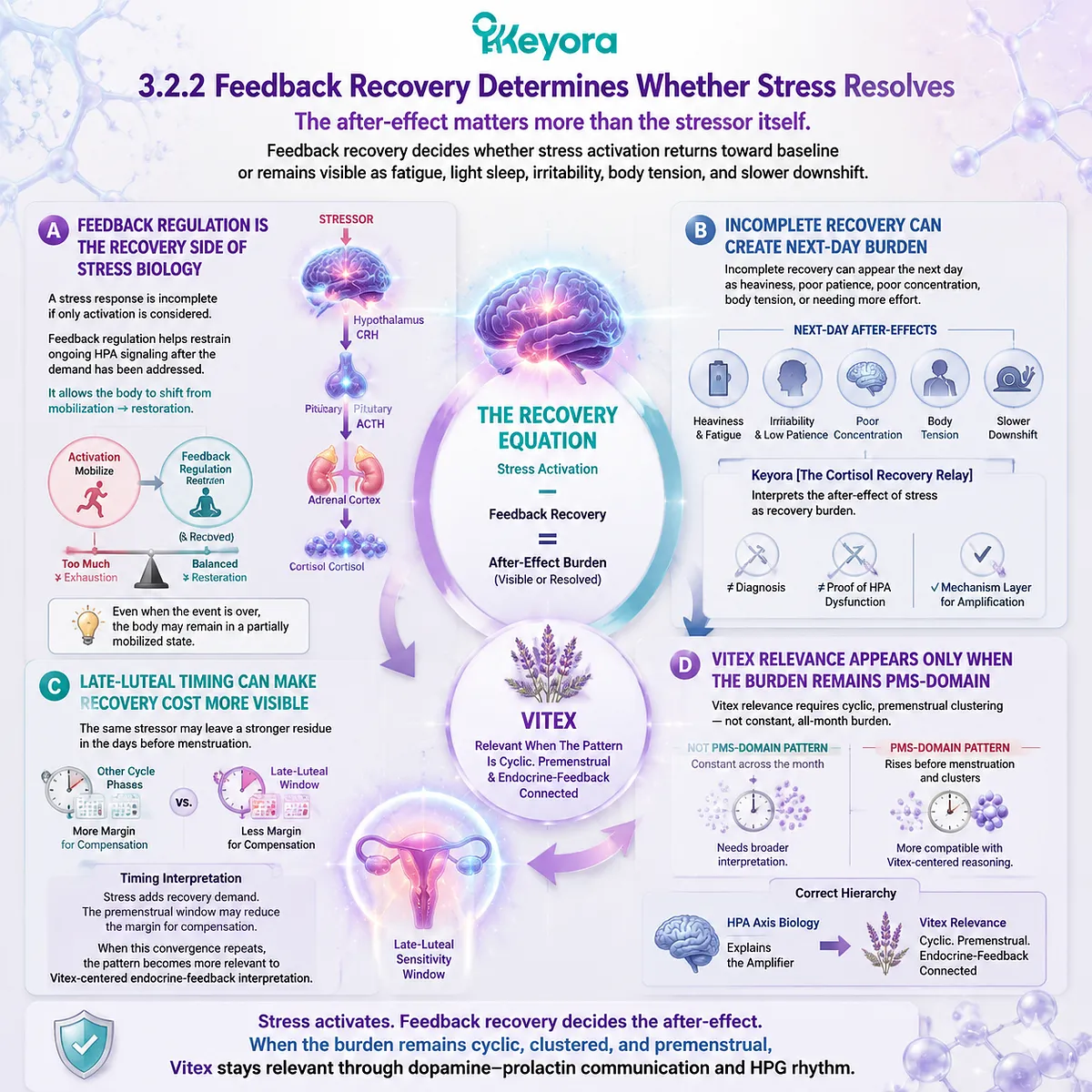 feedback recovery in stress-worsened PMS shows cortisol HPA-axis regulation and incomplete downshift after CRH–ACTH activation; Keyora Cortisol Recovery Relay links dopamine-prolactin and HPG luteal rhythm with cyclic PMS-domain load feedback recovery in stress-worsened PMS shows cortisol HPA-axis regulation and incomplete downshift after CRH–ACTH activation; Keyora Cortisol Recovery Relay links dopamine-prolactin and HPG luteal rhythm with cyclic PMS-domain load