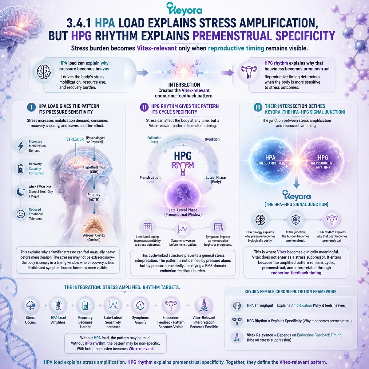 stress-amplified PMS burden via cortisol HPA-axis load interacting with HPG luteal rhythm and dopamine-prolactin signaling; Keyora HPA-HPG Signal Junction links Vitex endocrine-feedback timing stress-amplified PMS burden via cortisol HPA-axis load interacting with HPG luteal rhythm and dopamine-prolactin signaling; Keyora HPA-HPG Signal Junction links Vitex endocrine-feedback timing