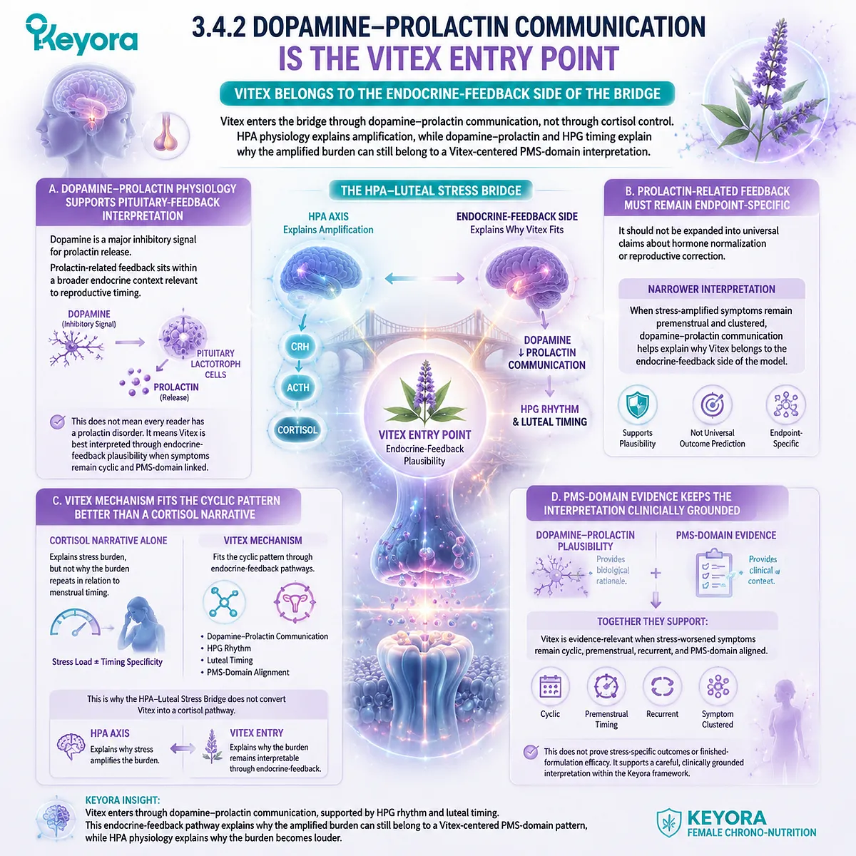 stress-worsened PMS with dopamine–prolactin balance and HPA-axis amplification interacting with HPG luteal rhythm; Keyora Dopamine–Prolactin Entry Gate for Vitex endocrine-feedback mapping stress-worsened PMS with dopamine–prolactin balance and HPA-axis amplification interacting with HPG luteal rhythm; Keyora Dopamine–Prolactin Entry Gate for Vitex endocrine-feedback mapping