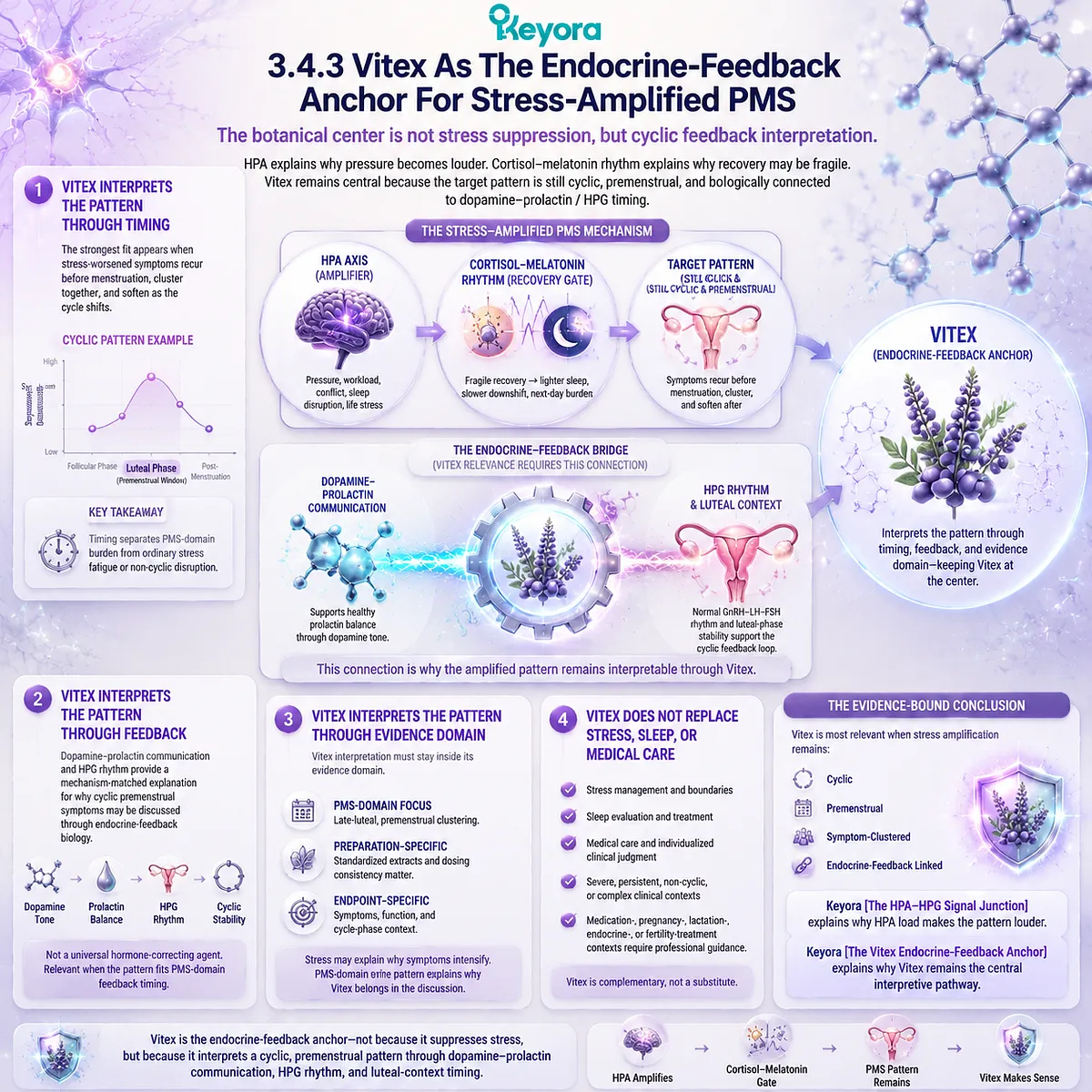 stress-amplified PMS pattern with cortisol HPA-axis load, cortisol–melatonin recovery fragility, and HPG luteal rhythm interacting with dopamine–prolactin signaling; Keyora Vitex Endocrine-Feedback Anchor maps cyclic PMS-domain interpretation stress-amplified PMS pattern with cortisol HPA-axis load, cortisol–melatonin recovery fragility, and HPG luteal rhythm interacting with dopamine–prolactin signaling; Keyora Vitex Endocrine-Feedback Anchor maps cyclic PMS-domain interpretation