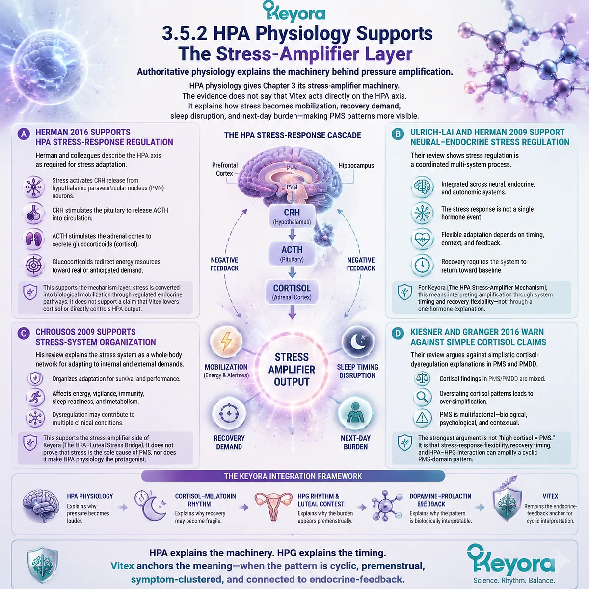 HPA-axis physiology in PMS stress amplification with CRH-driven mobilization, cortisol regulation, and neural-endocrine stress systems; Keyora HPA Stress-Amplifier Mechanism links Vitex PMS-domain endocrine-feedback timing HPA-axis physiology in PMS stress amplification with CRH-driven mobilization, cortisol regulation, and neural-endocrine stress systems; Keyora HPA Stress-Amplifier Mechanism links Vitex PMS-domain endocrine-feedback timing