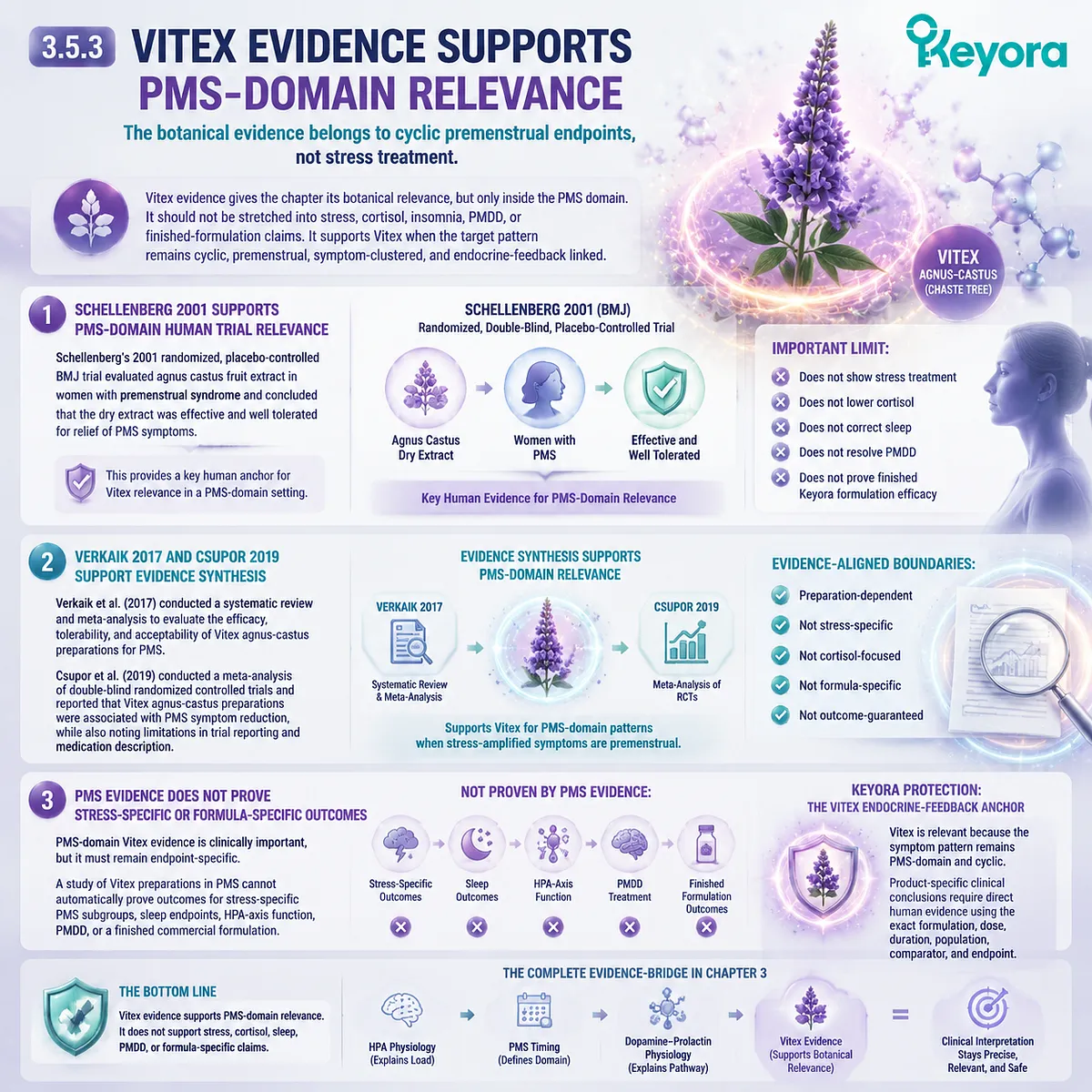 Vitex agnus-castus PMS clinical evidence with Schellenberg 2001 RCT and meta-analyses supporting cyclic premenstrual symptom clusters; Keyora Vitex Endocrine-Feedback Anchor maps dopamine–prolactin and HPG rhythm without cortisol treatment claims Vitex agnus-castus PMS clinical evidence with Schellenberg 2001 RCT and meta-analyses supporting cyclic premenstrual symptom clusters; Keyora Vitex Endocrine-Feedback Anchor maps dopamine–prolactin and HPG rhythm without cortisol treatment claims