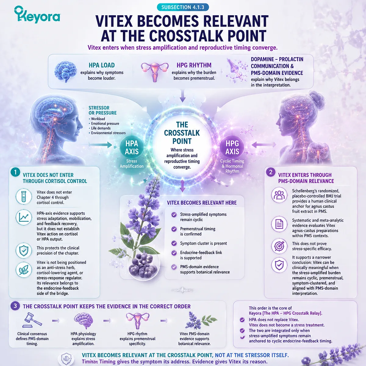 Vitex for PMS symptoms integrates dopamine-prolactin signaling, HPA-axis stress amplification and HPG rhythm timing, mapping endocrine feedback in Keyora HPA-HPG Crosstalk Relay framework Vitex for PMS symptoms integrates dopamine-prolactin signaling, HPA-axis stress amplification and HPG rhythm timing, mapping endocrine feedback in Keyora HPA-HPG Crosstalk Relay framework