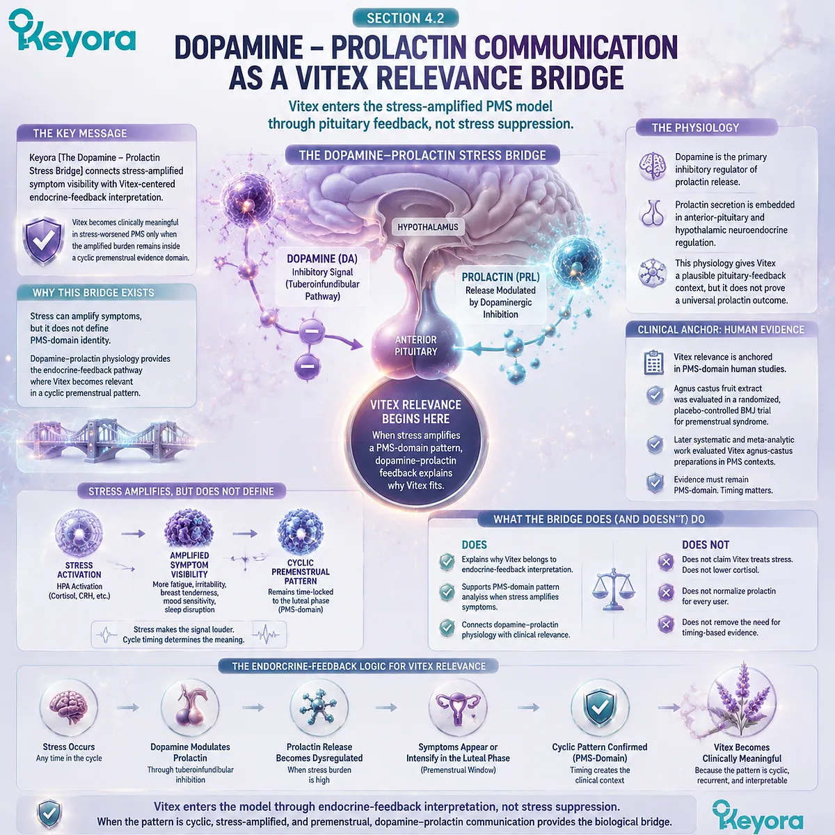 PMS symptoms, dopamine-prolactin regulation and pituitary feedback under stress-amplified HPA signaling mapped in Keyora Dopamine-Prolactin Stress Bridge for endocrine feedback interpretation of cyclic sensitivity PMS symptoms, dopamine-prolactin regulation and pituitary feedback under stress-amplified HPA signaling mapped in Keyora Dopamine-Prolactin Stress Bridge for endocrine feedback interpretation of cyclic sensitivity